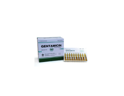 Thuốc tiêm Gentamicin 80mg/2ml Vidipha điều trị nhiễm khuẩn nặng (hộp 10 ống)