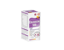 Coleuscin 500 bổ phế, giảm ho lọ 125ml