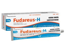 Thuốc bôi da Fudareus-H VCP trị viêm da dị ứng (Tuýp 15g)