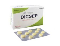 Thuốc Dicsep điều trị viêm loét đại tràng, trực tràng chảy máu (Hộp 3 vỉ x 10 viên)   