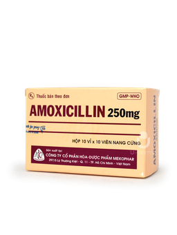 Thuốc Amoxicillin 250mg MKP điều trị nhiễm khuẩn do các chủng vi khuẩn nhạy cảm (Hộp 10 vỉ x 10 viên)