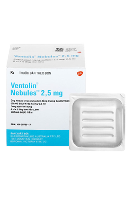 Dung dịch khí dung Ventolin Nebules 2.5mg/2.5ml điều trị tắc nghẽn đường thở có hồi phục do hen, viêm phế quản mạn và khí phế thũng (Hộp 6 vỉ x 5 ống)