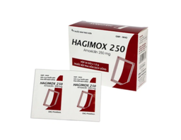 Thuốc bột Hagimox 250 điều trị nhiễm khuẩn trên các chủng vi khuẩn nhạy cảm (Hộp 24 gói)