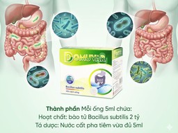 Men vi sinh Domuvar chứa 2 tỷ lợi khuẩn Bacillus subtilis điều trị rối loạn tiêu hóa (Hộp 4 vỉ x 5 ống)