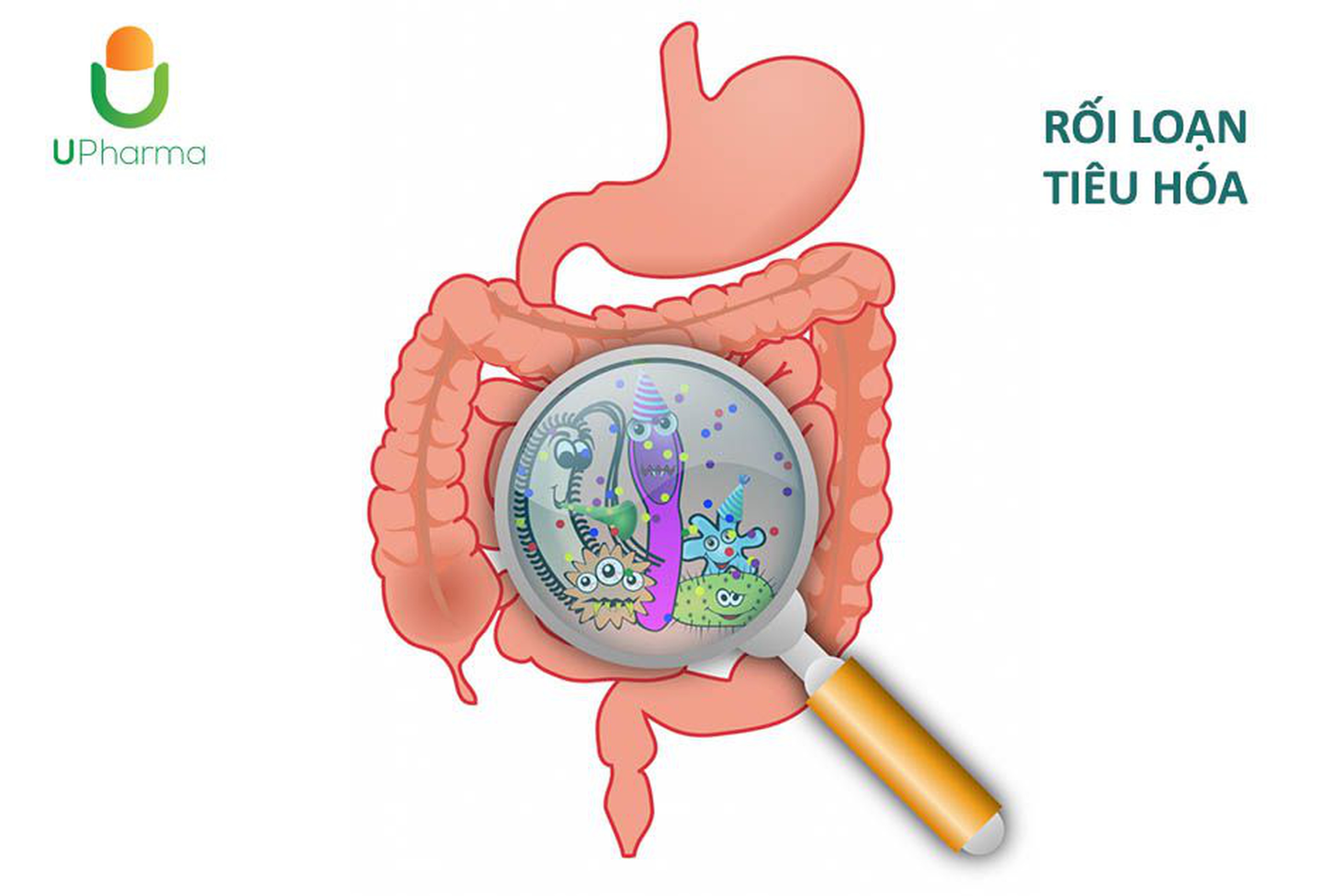 Rối loạn tiêu hóa  và những điều cân biết.