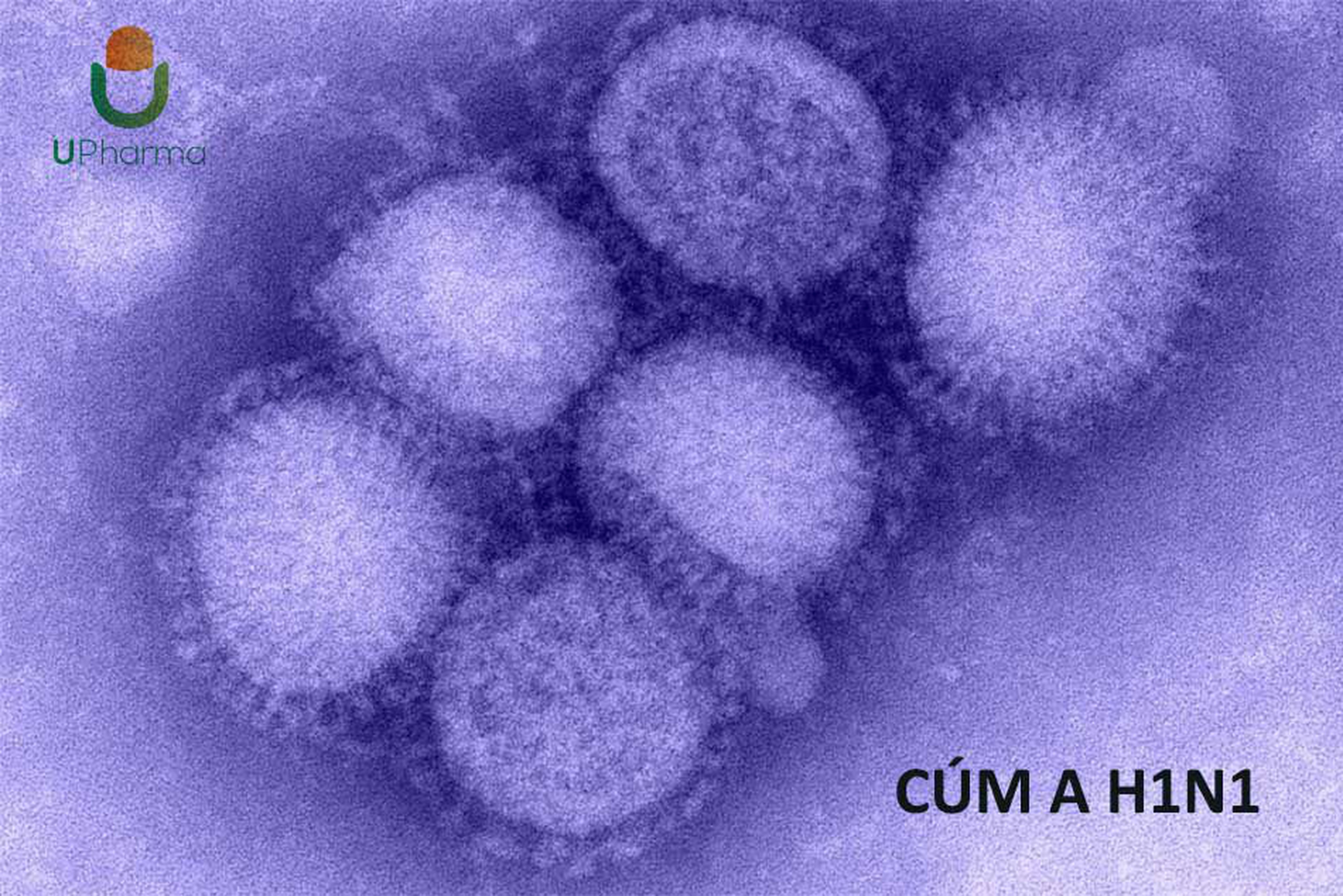 Cúm A H1N1: những điều cần biết và cách phòng tránh bệnh.