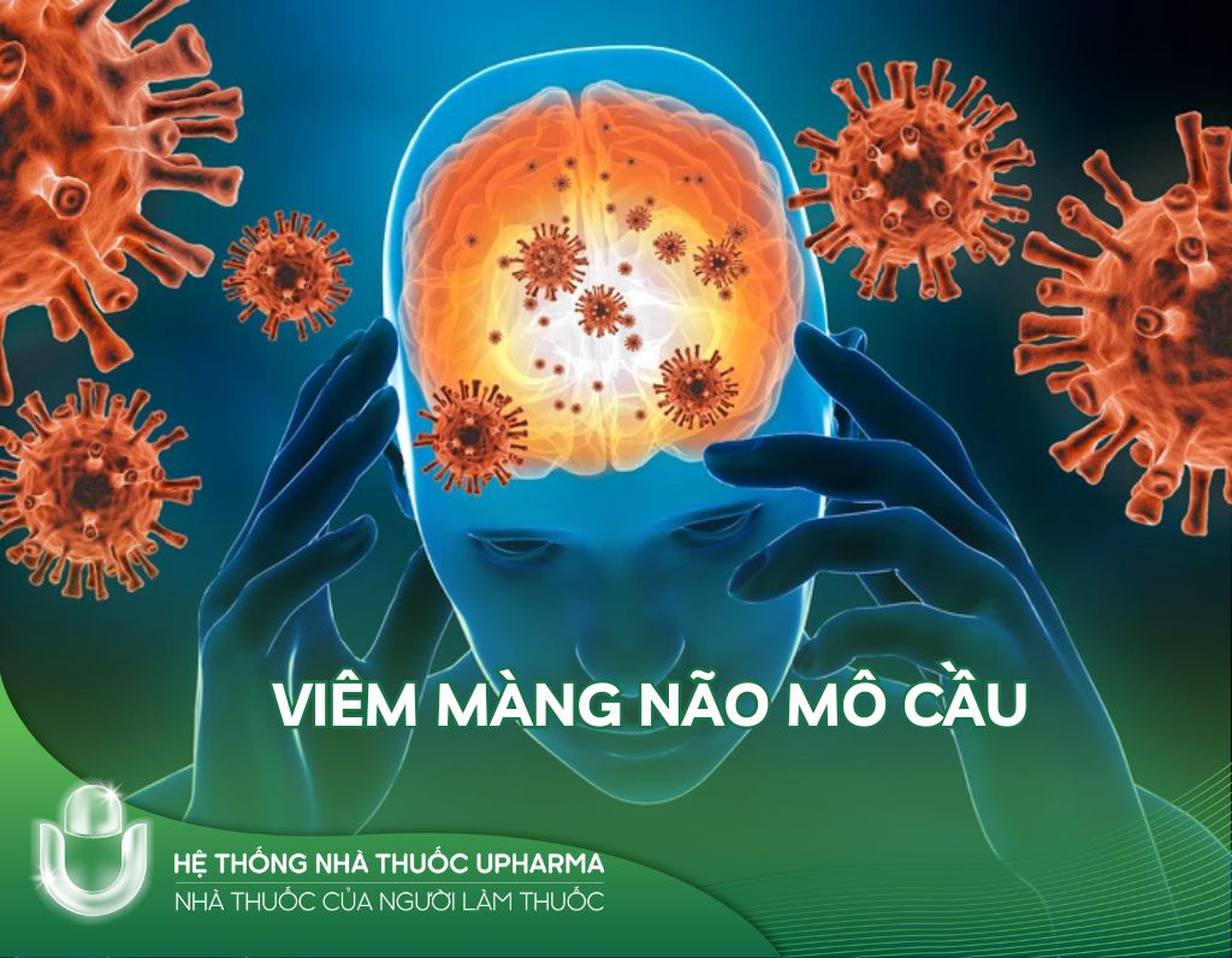 Viêm màng não mô cầu: tất cả những điều bạn nên biết