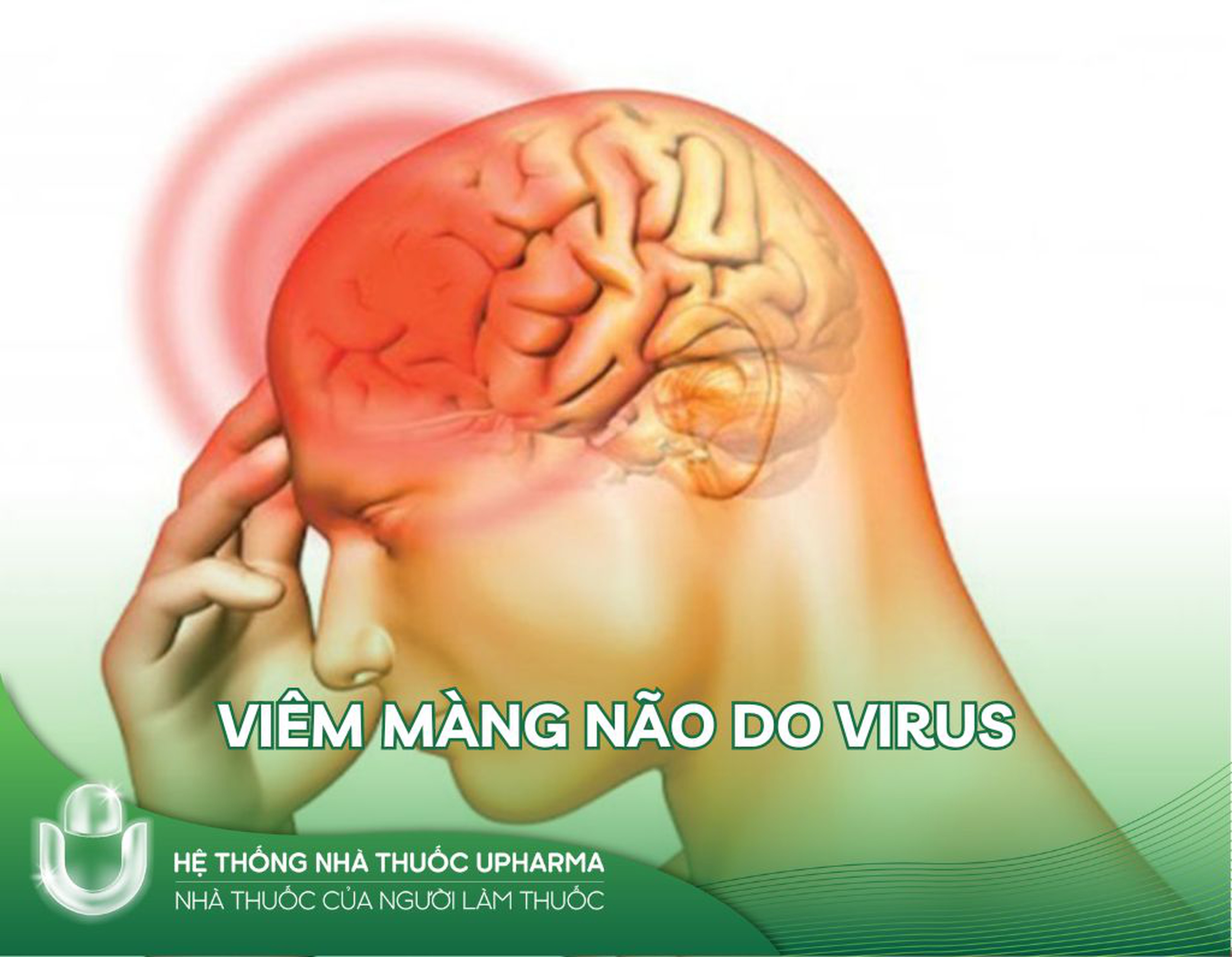 Tất tần tật thông tin về viêm màng não do virus