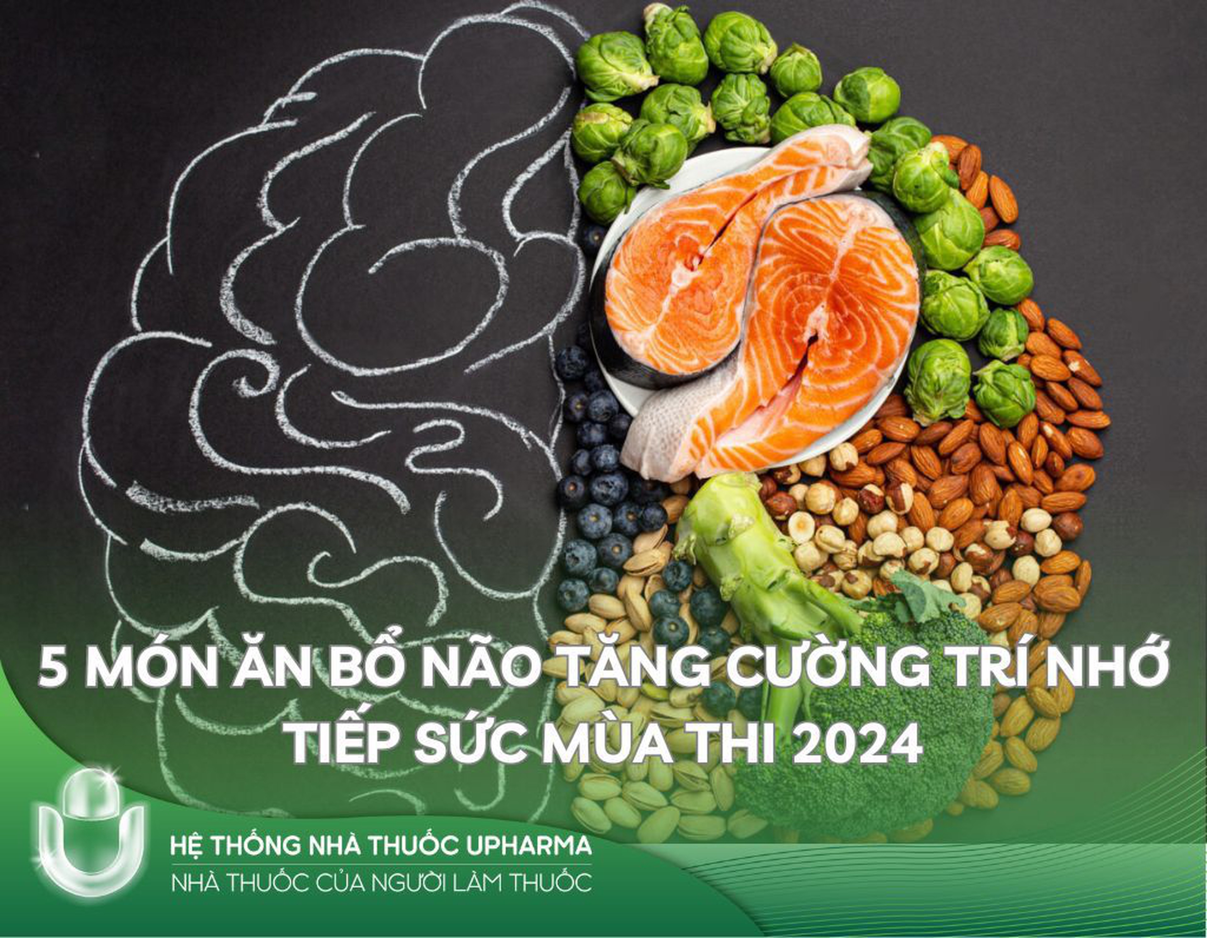 5 món ăn bổ não tăng cường trí nhớ tiếp sức mùa thi 2024