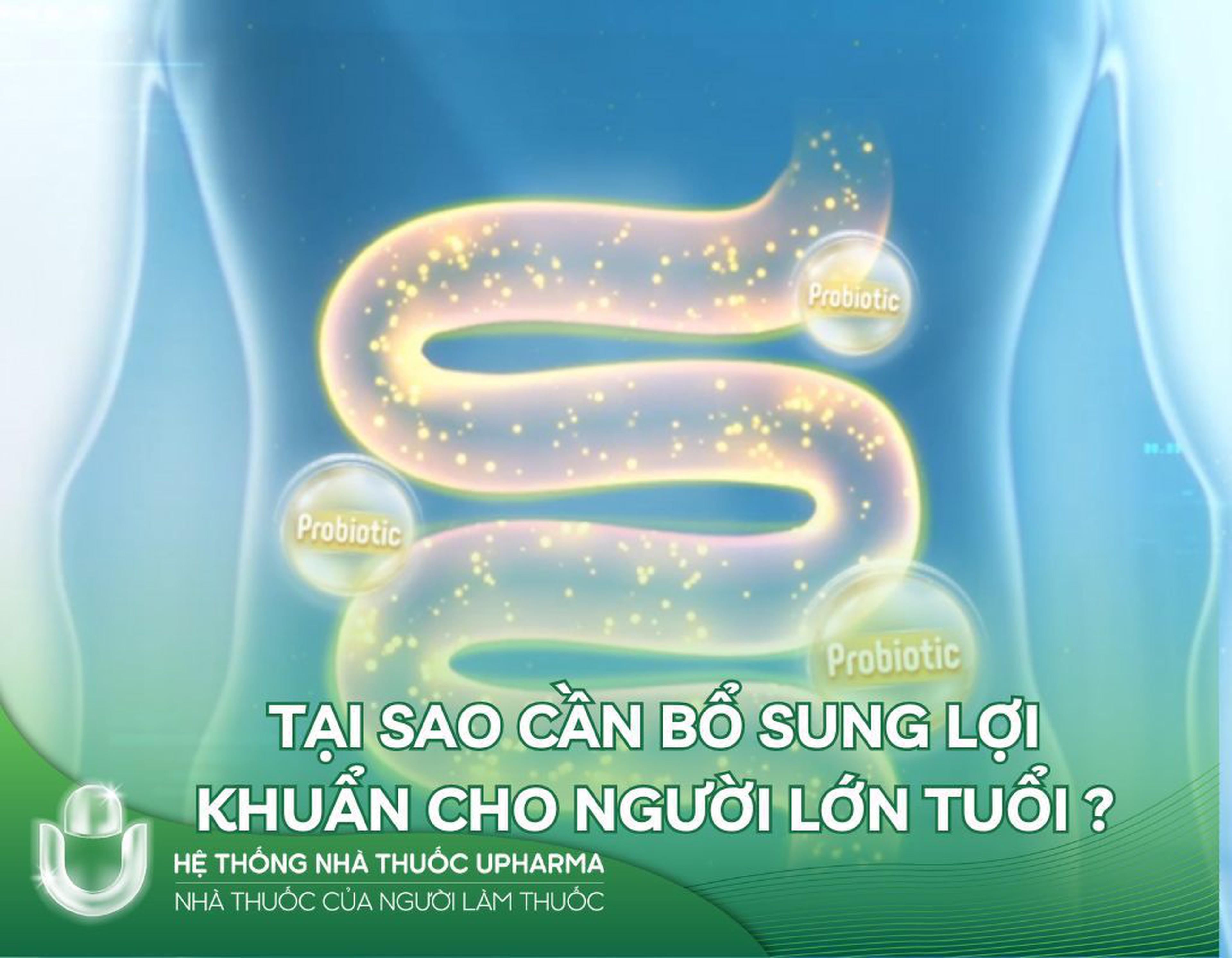 Tại sao cần bổ sung lợi khuẩn cho người lớn tuổi?