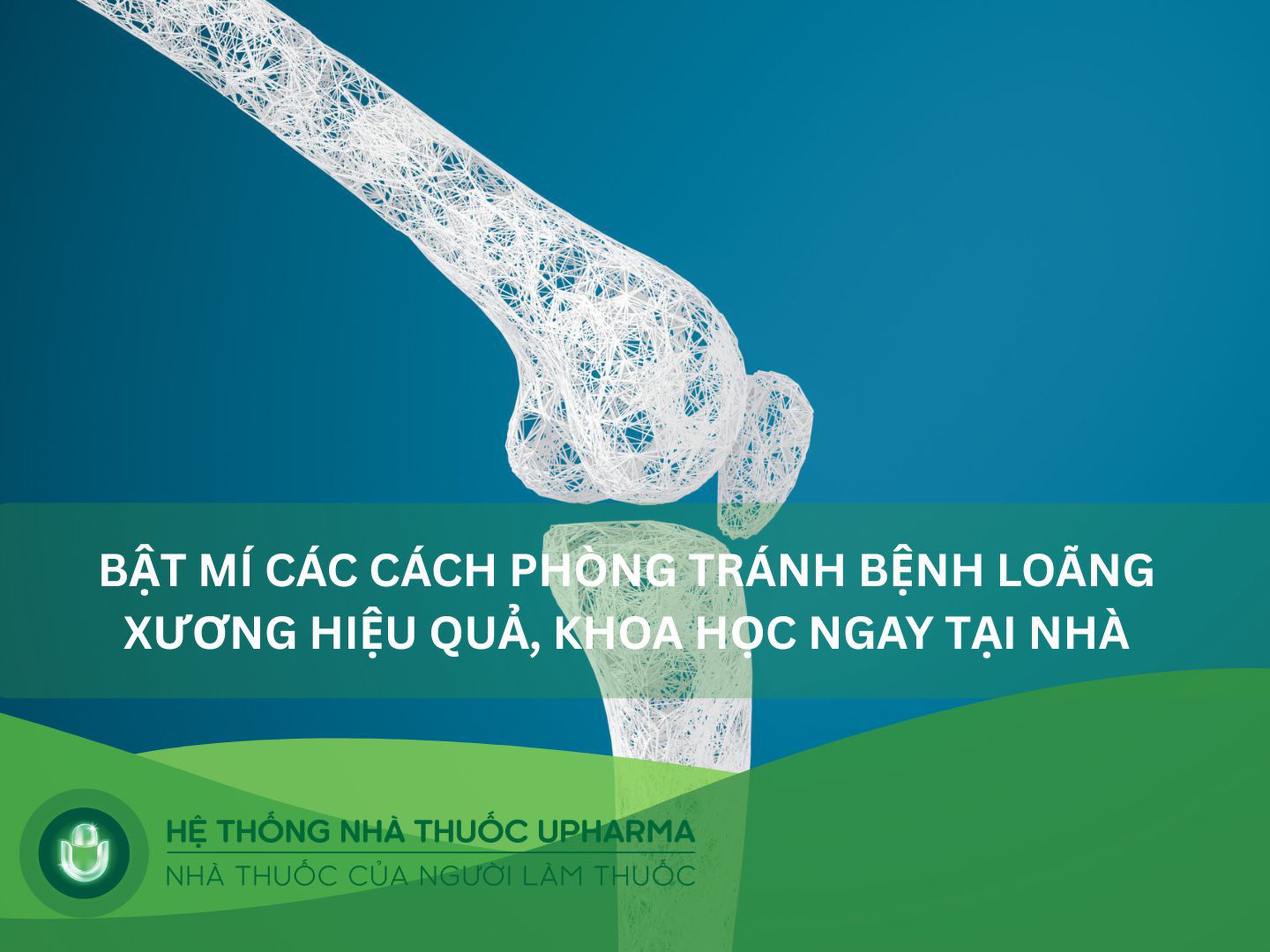 Bật mí các cách phòng tránh bệnh loãng xương hiệu quả, khoa học ngay tại nhà