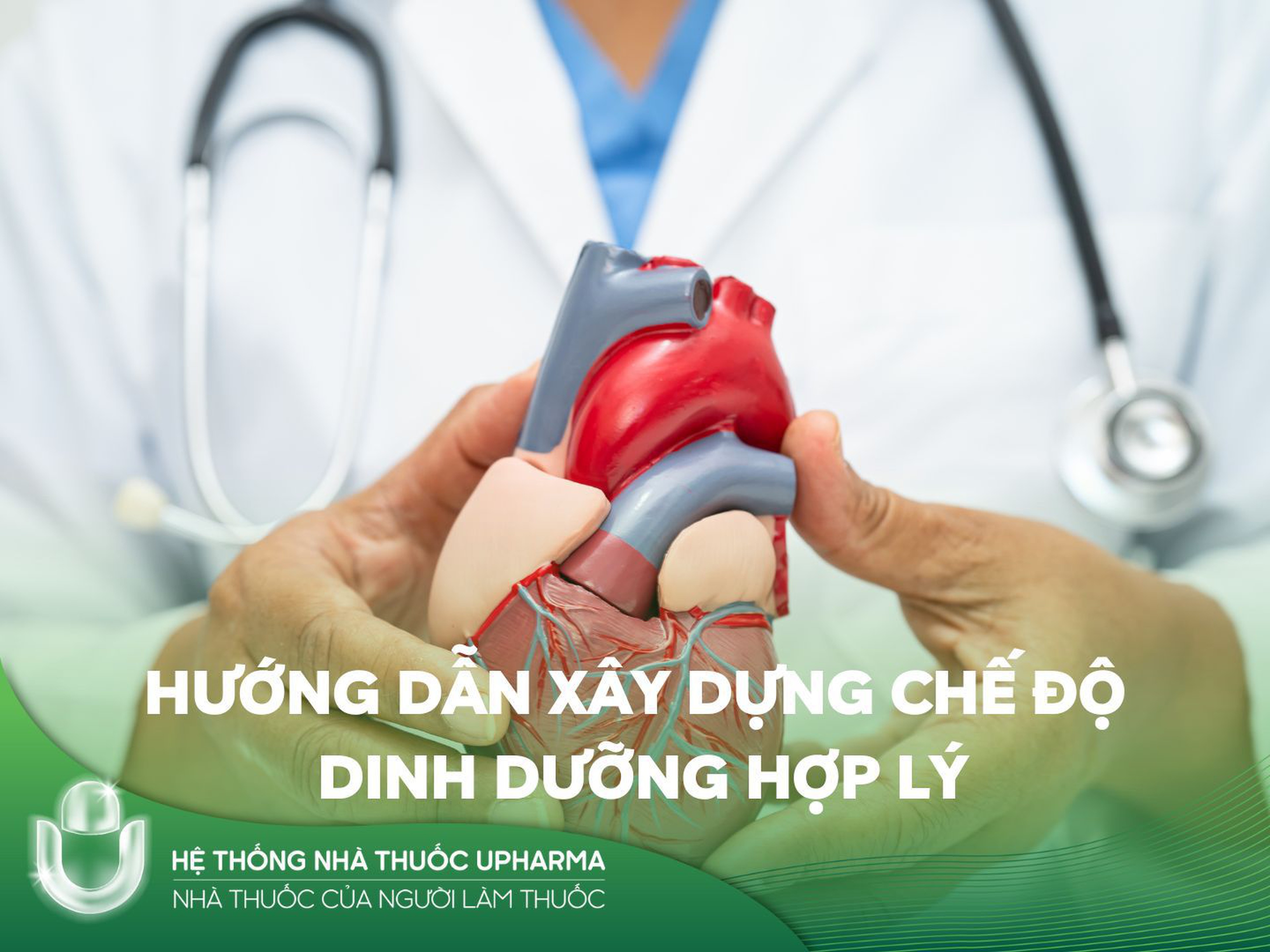 Bệnh tim mạch: Nguyên nhân, triệu chứng và cách điều trị