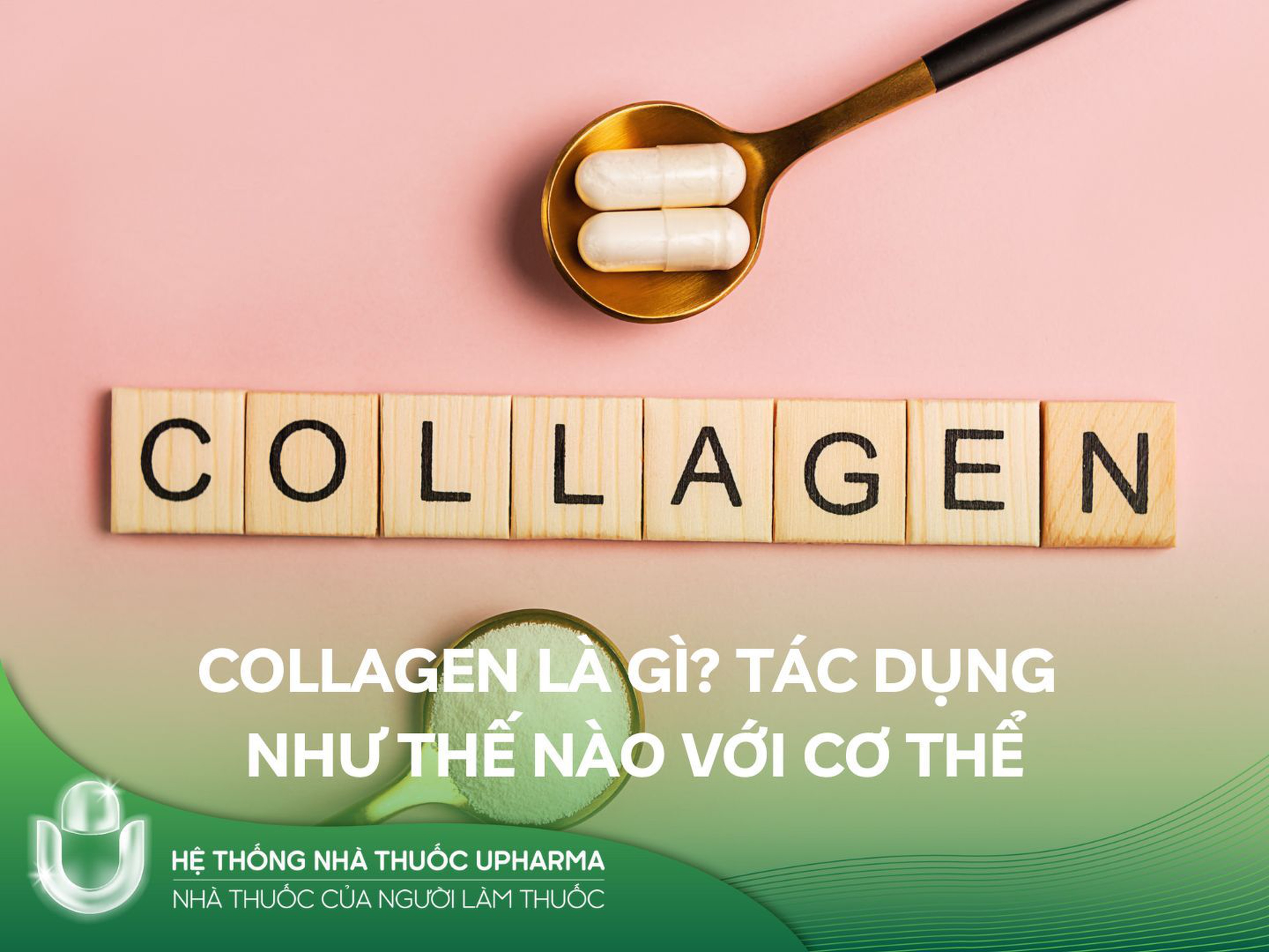 Collagen là gì? Tác dụng như thế nào với cơ thể