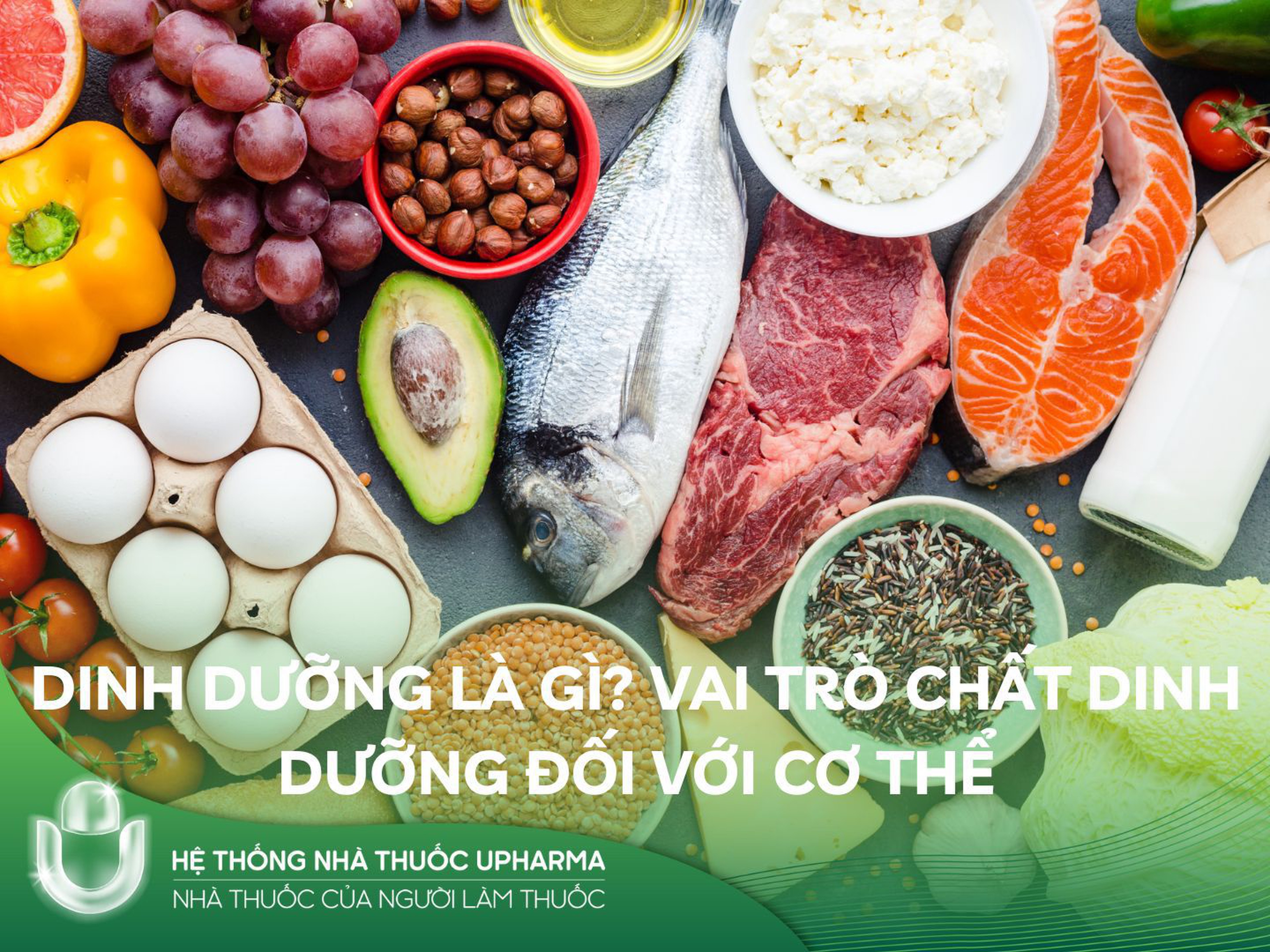 Dinh dưỡng là gì? Vai trò chất dinh dưỡng đối với cơ thể