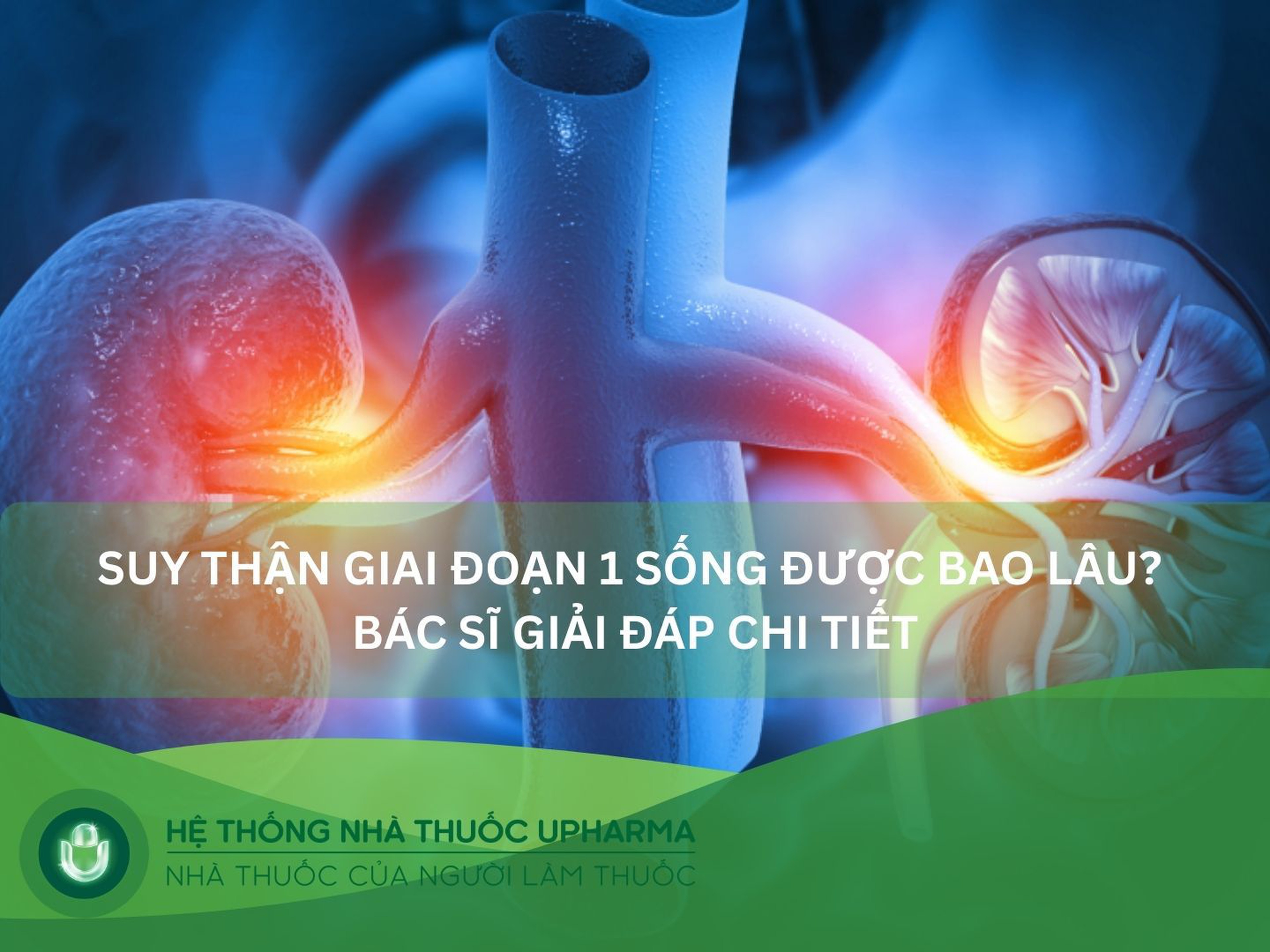 Suy thận giai đoạn 1 sống được bao lâu? Bác sĩ giải đáp chi tiết