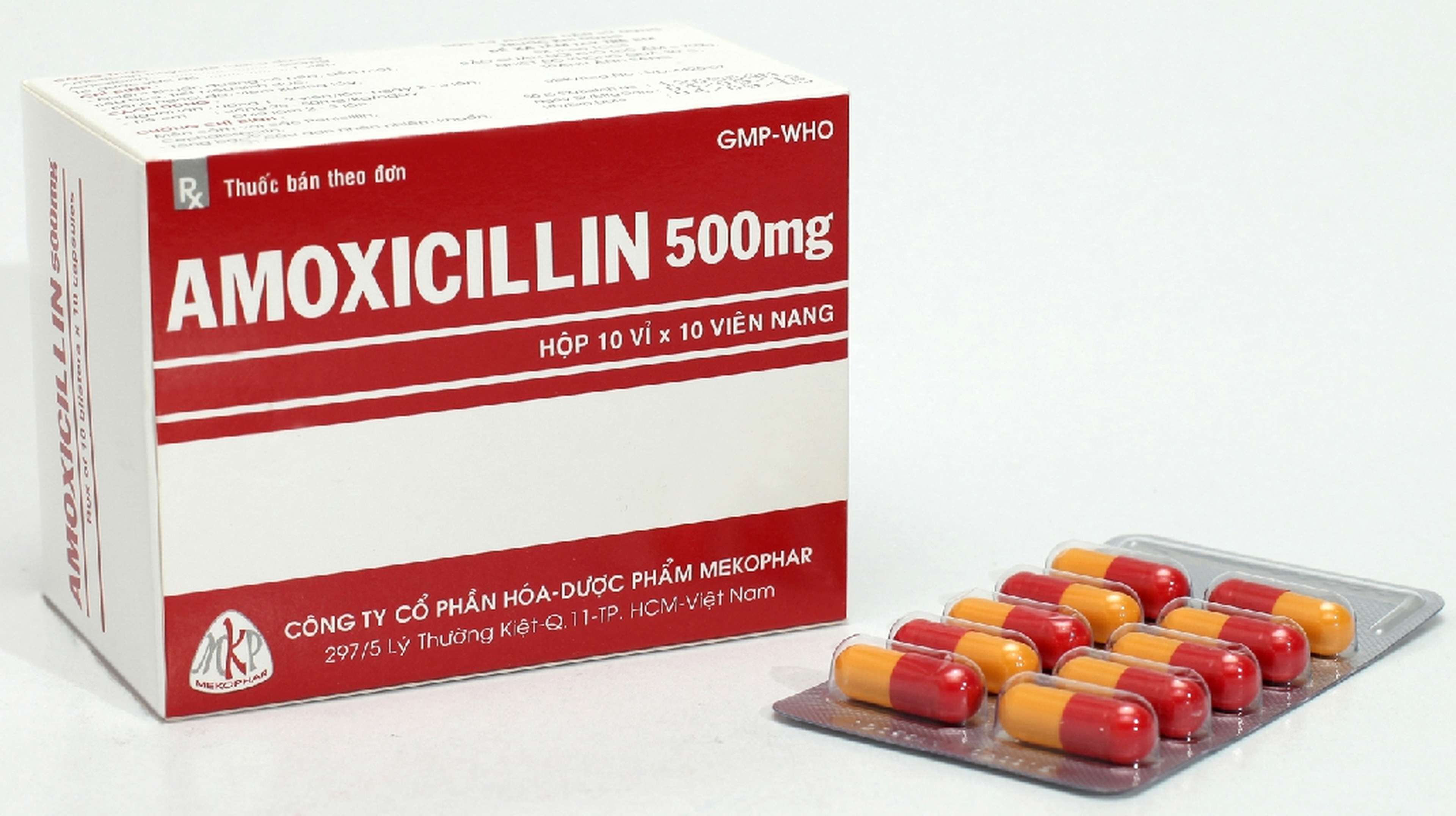 Thuốc Amoxicillin 500mg MKP điều trị nhiễm khuẩn trên các chủng vi khuẩn nhạy cảm (hộp 10 vỉ x 10 viên)