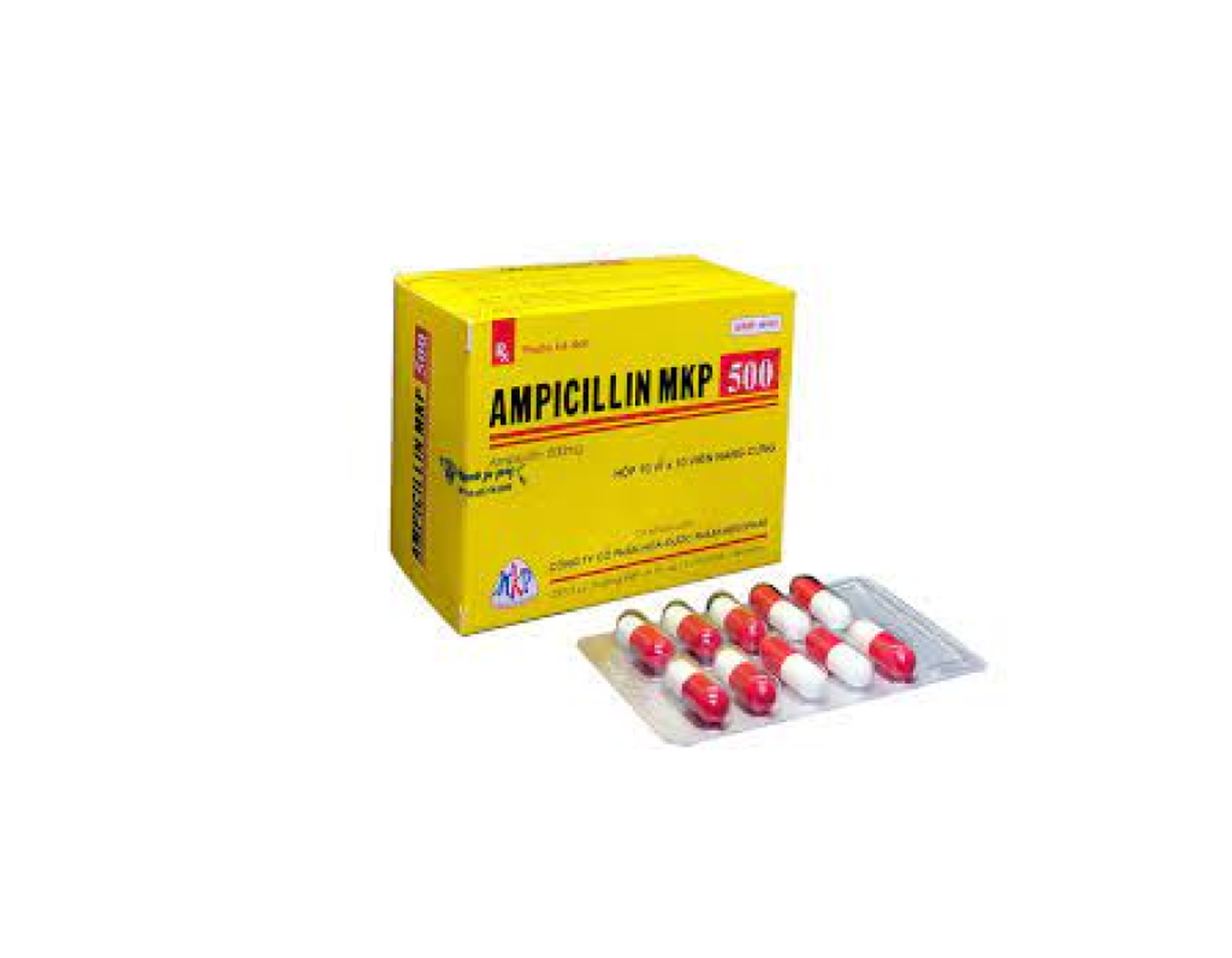 Thuốc Ampicillin MKP 500 Mekophar điều trị nhiễm khuẩn (hộp 10 vỉ x 10 viên)