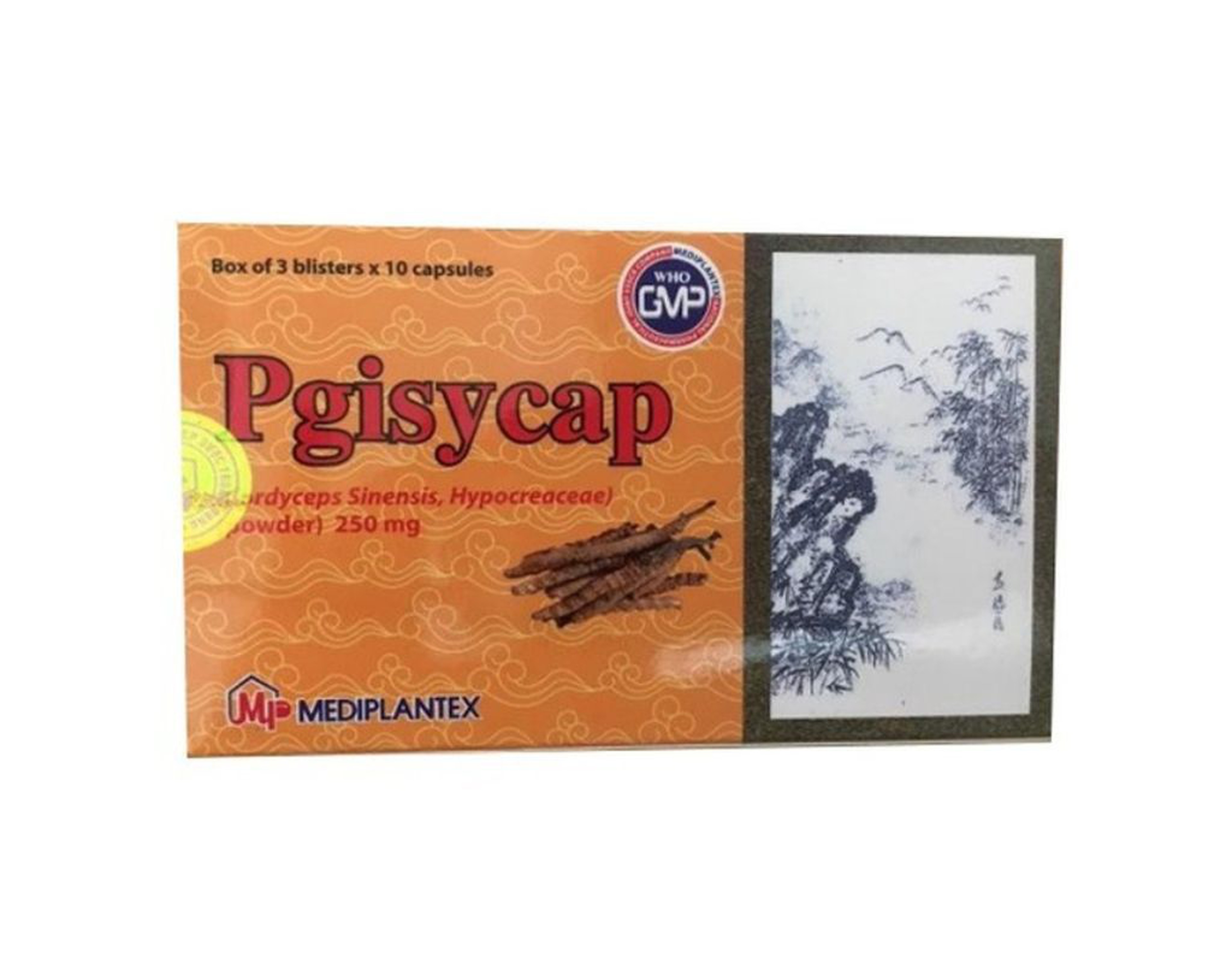 Thuốc Pgisycap 250mg điều trị các trường hợp ho như ho ra máu, ho mạn tính và suy thận (Hộp 3 vỉ x 10 viên)