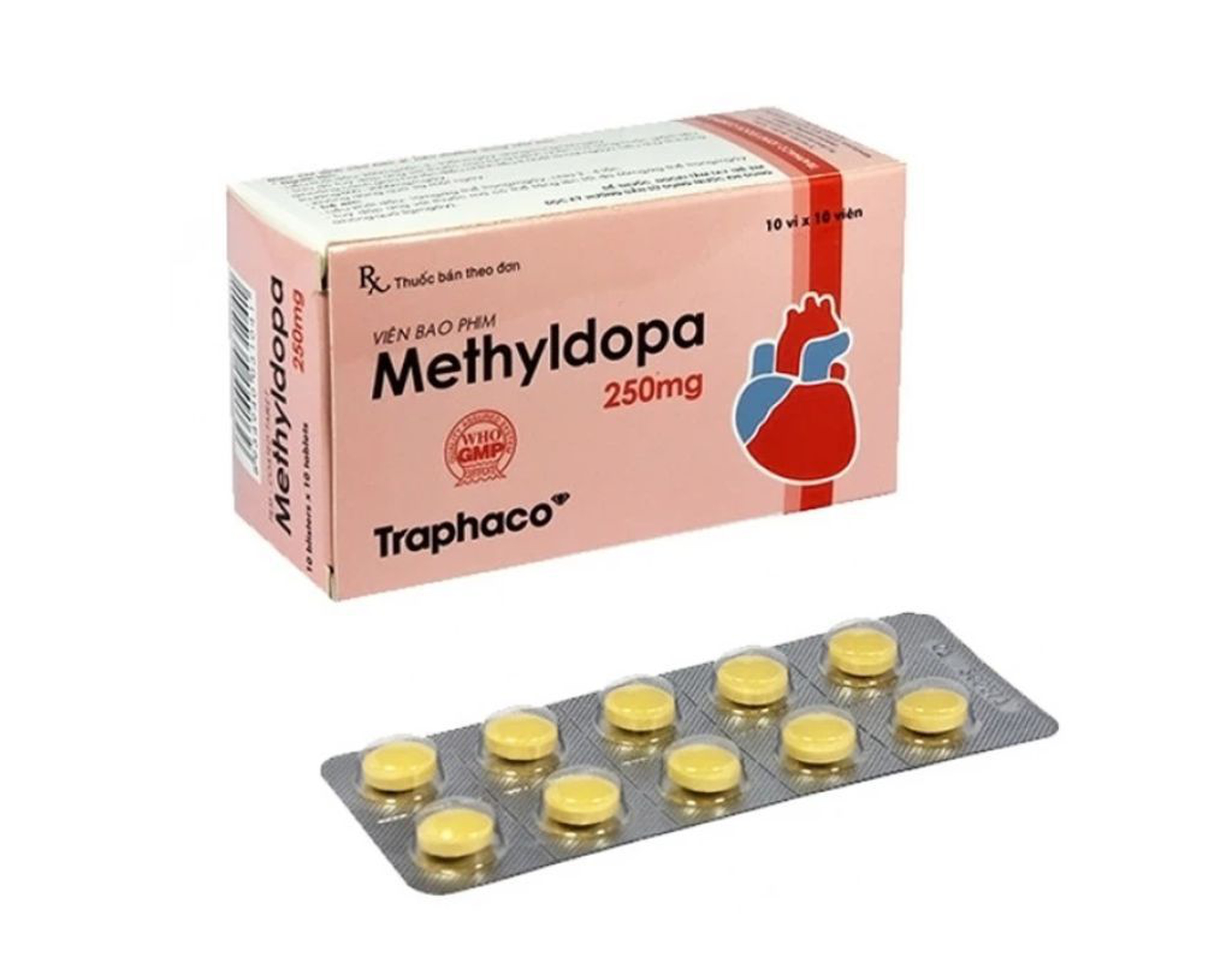 Thuốc Methyldopa 250 mg TPC hỗ trợ điều trị tăng huyết áp (Hộp 10 vỉ x 10 viên)