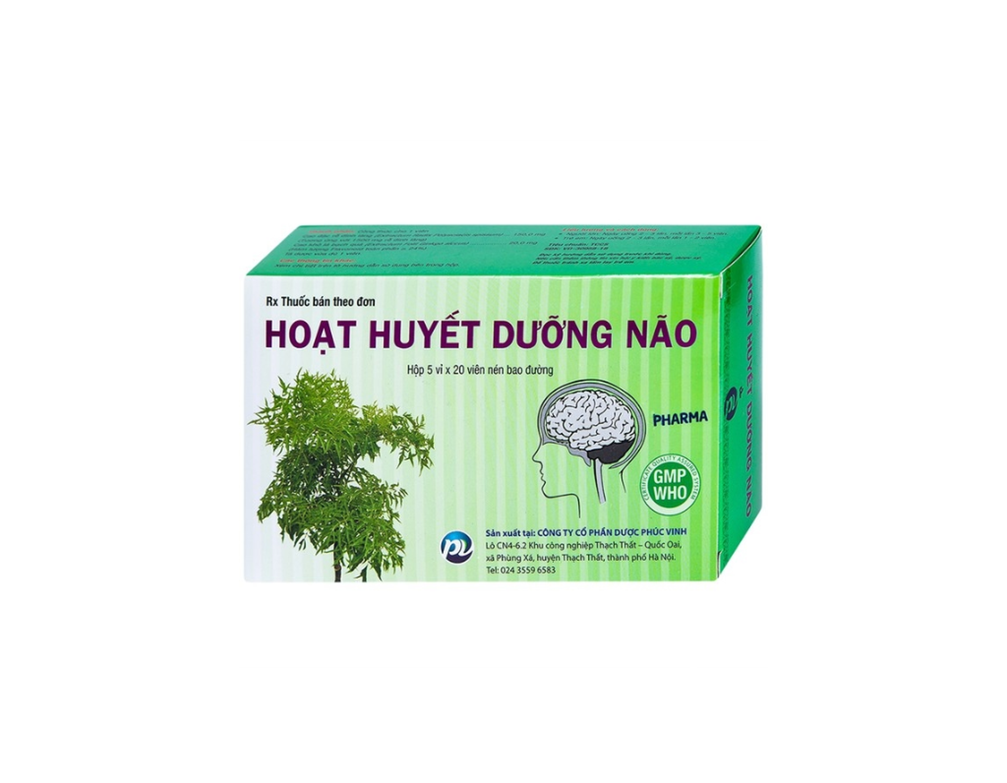 Thuốc Hoạt Huyết Dưỡng Não Phúc Vinh điều trị suy giảm trí nhớ, thiểu năng tuần hoàn não (Hộp 5 vỉ x 20 viên)