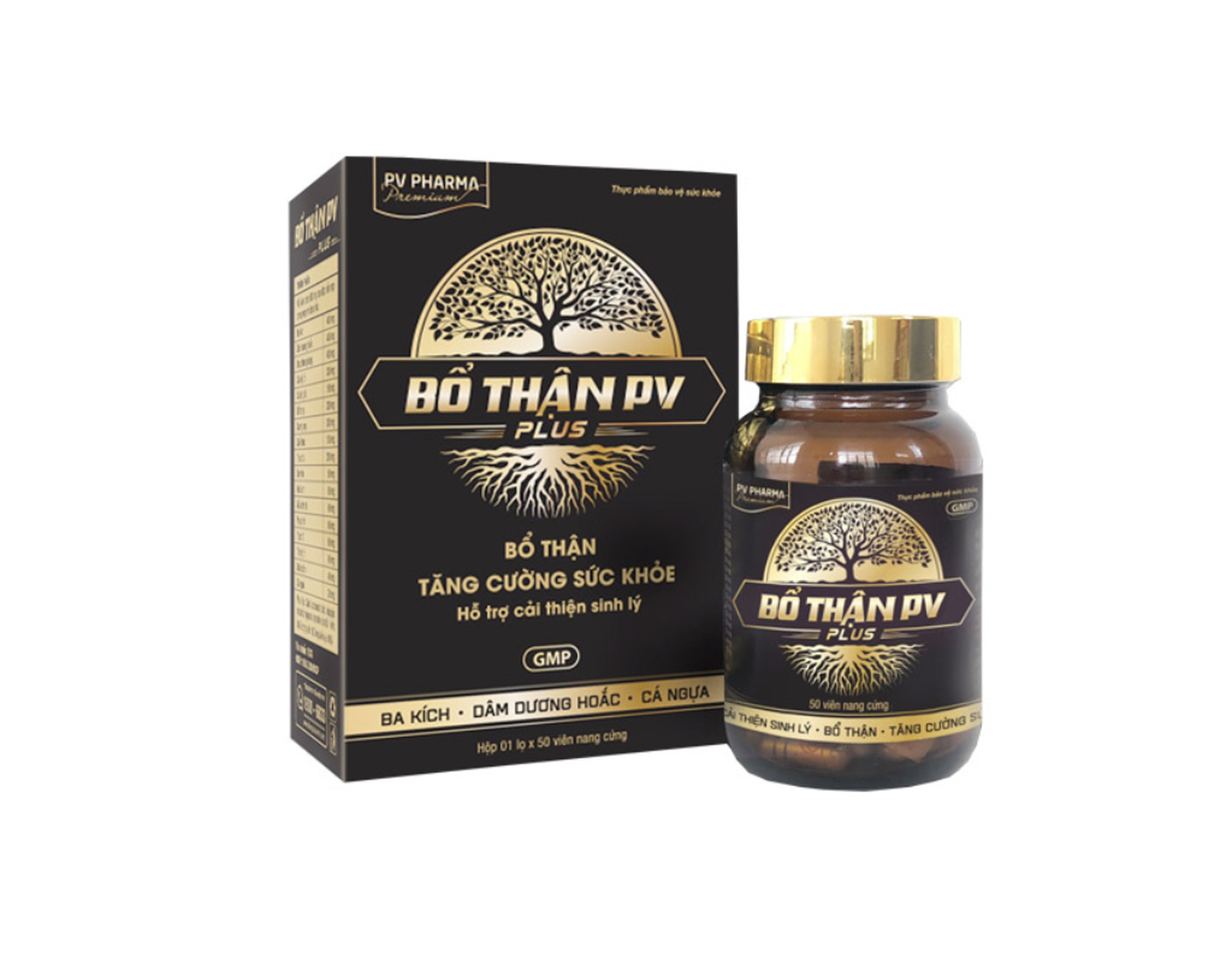 Viên uống PV Plus bổ thận, tráng dương, tăng cường sức khỏe (Hộp 1 lọ 50 viên)