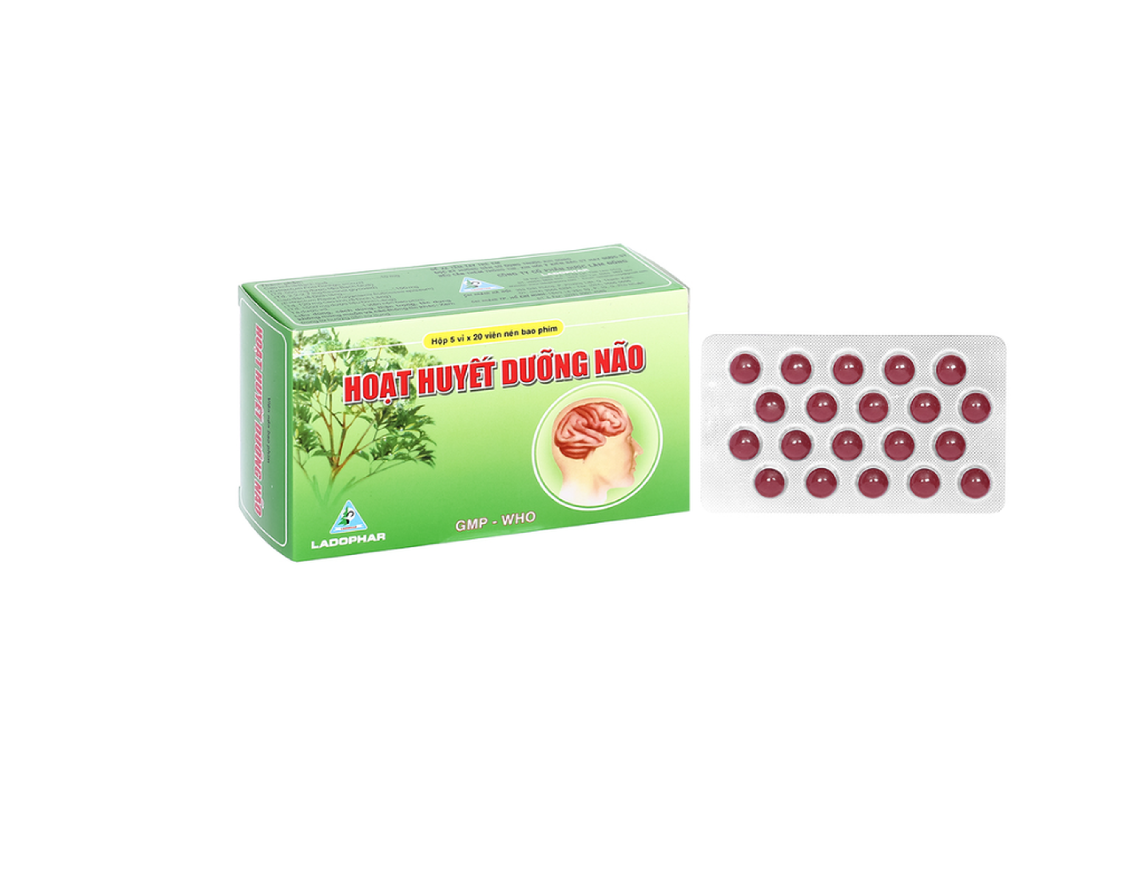 Hoạt Huyết Dưỡng Não Ladophar giúp cải thiện trí nhớ (5 vỉ x 20 viên)