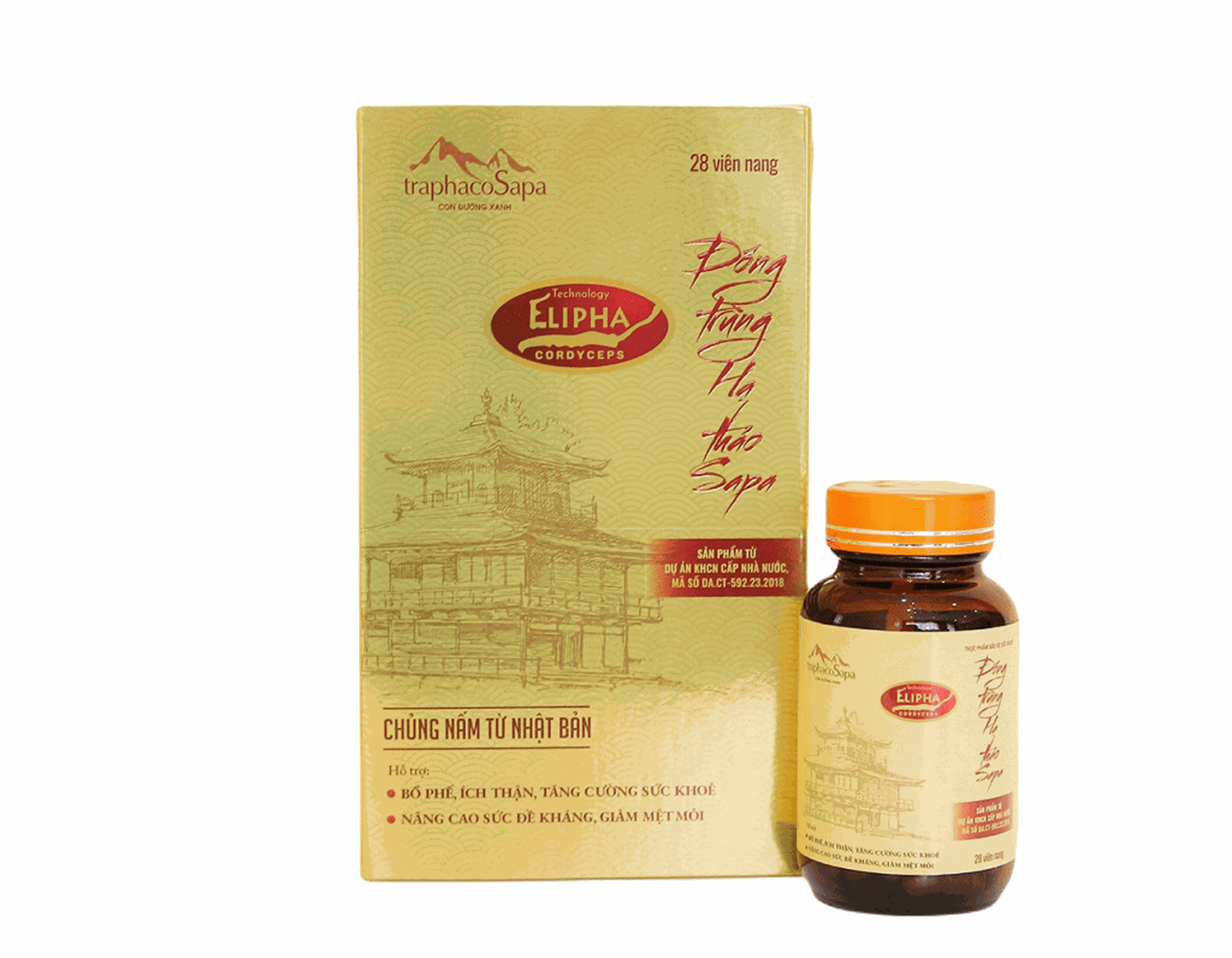 Viên uống Đông Trùng Hạ Thảo Sapa giúp nâng cao đề kháng, giảm mệt mỏi (Hộp 1 lọ 28 viên)