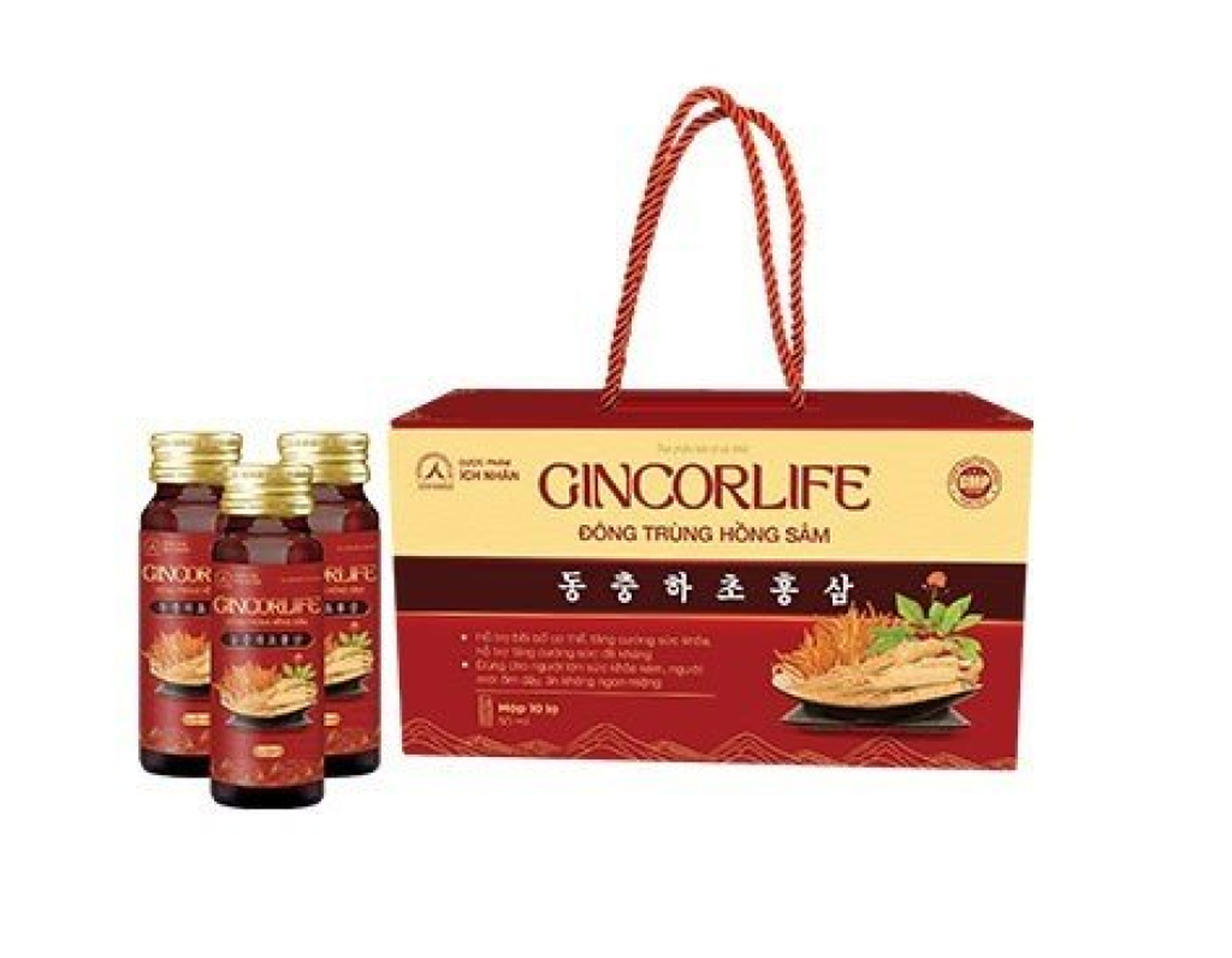 Thực phẩm bảo vệ sức khỏe Gincorlife Đông trùng Hồng sâm hỗ trợ bồi cơ thể (Hộp 10 lọ)