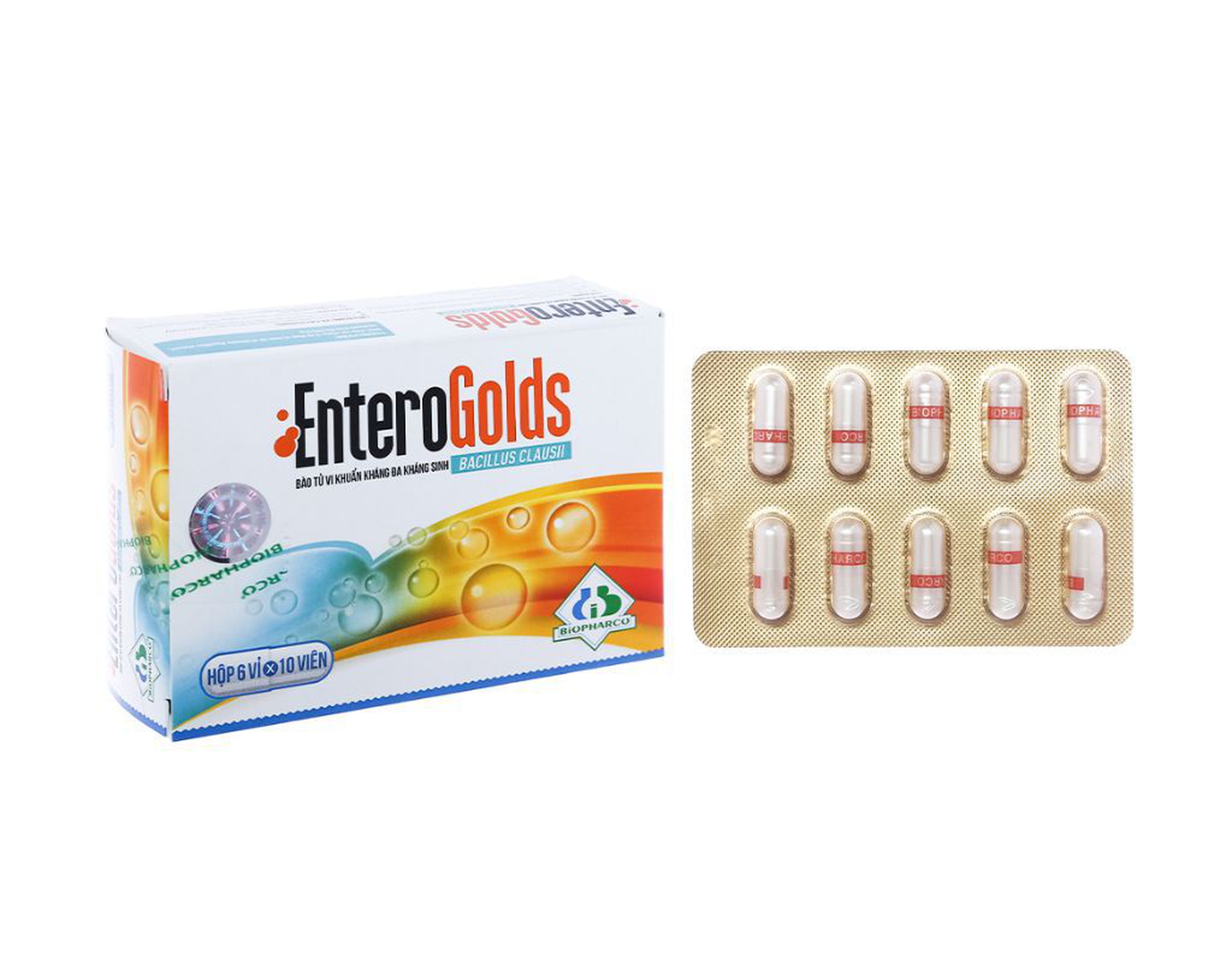 EnteroGolds trị và phòng ngừa rối loạn vi sinh đường ruột (Hộp 6 vỉ x 10 viên)
