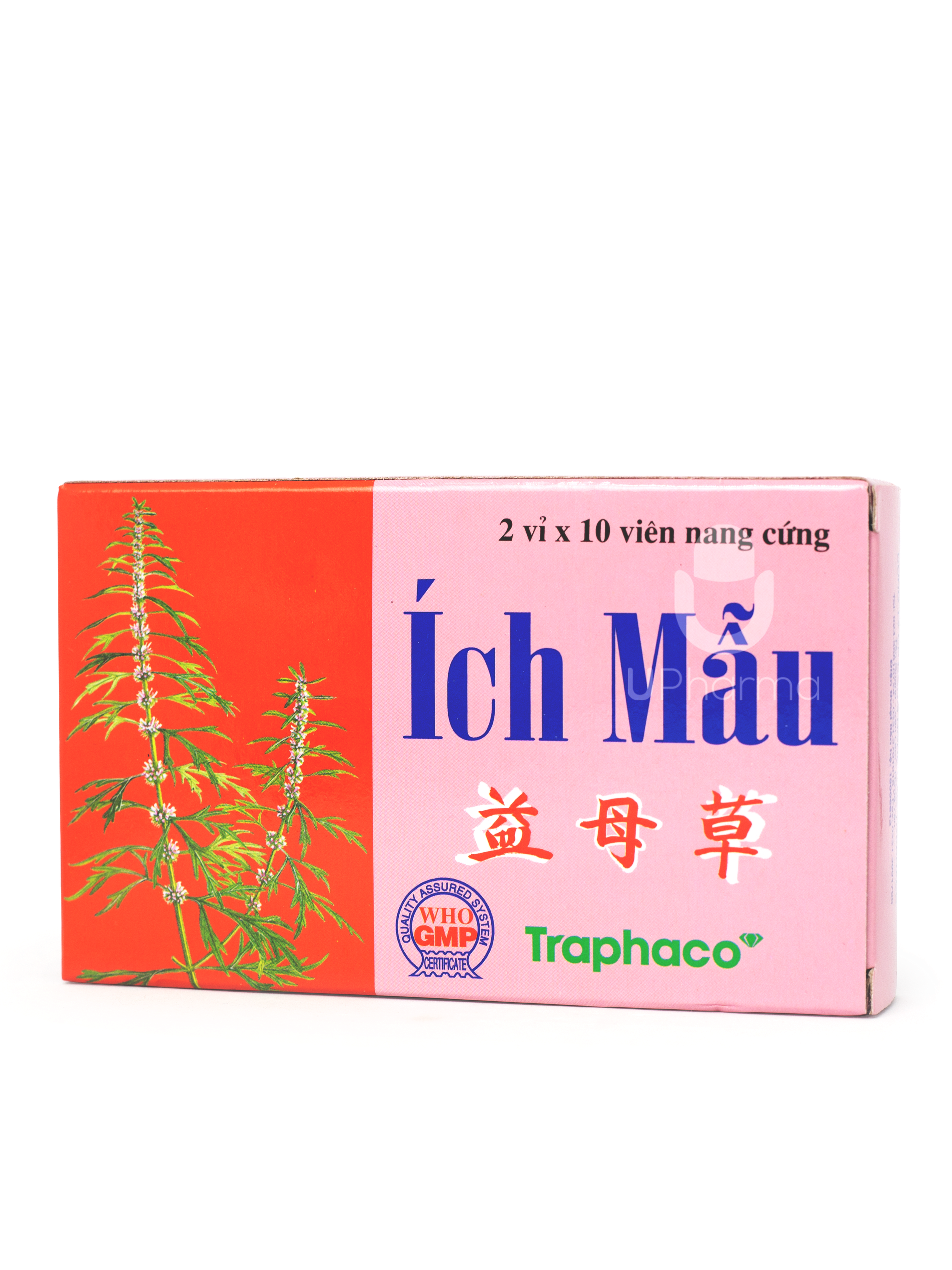 Viên uống Ích mẫu giúp điều hòa kinh nguyệt (Hộp 2 vỉ x 10 viên)