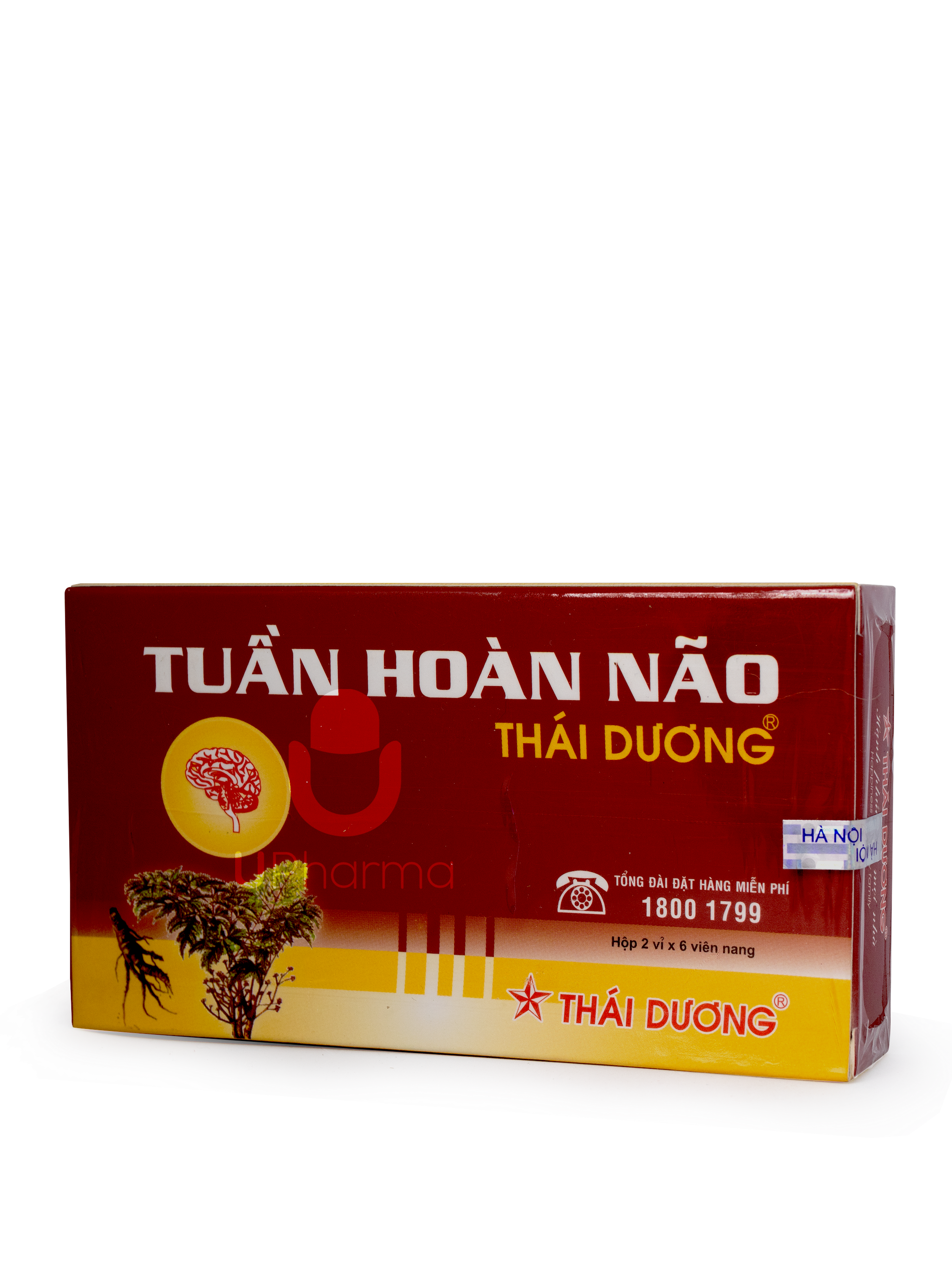 Tuần Hoàn Não Thái Dương hỗ trợ điều trị thiểu năng tuần hoàn não (2 vỉ x 6 viên)