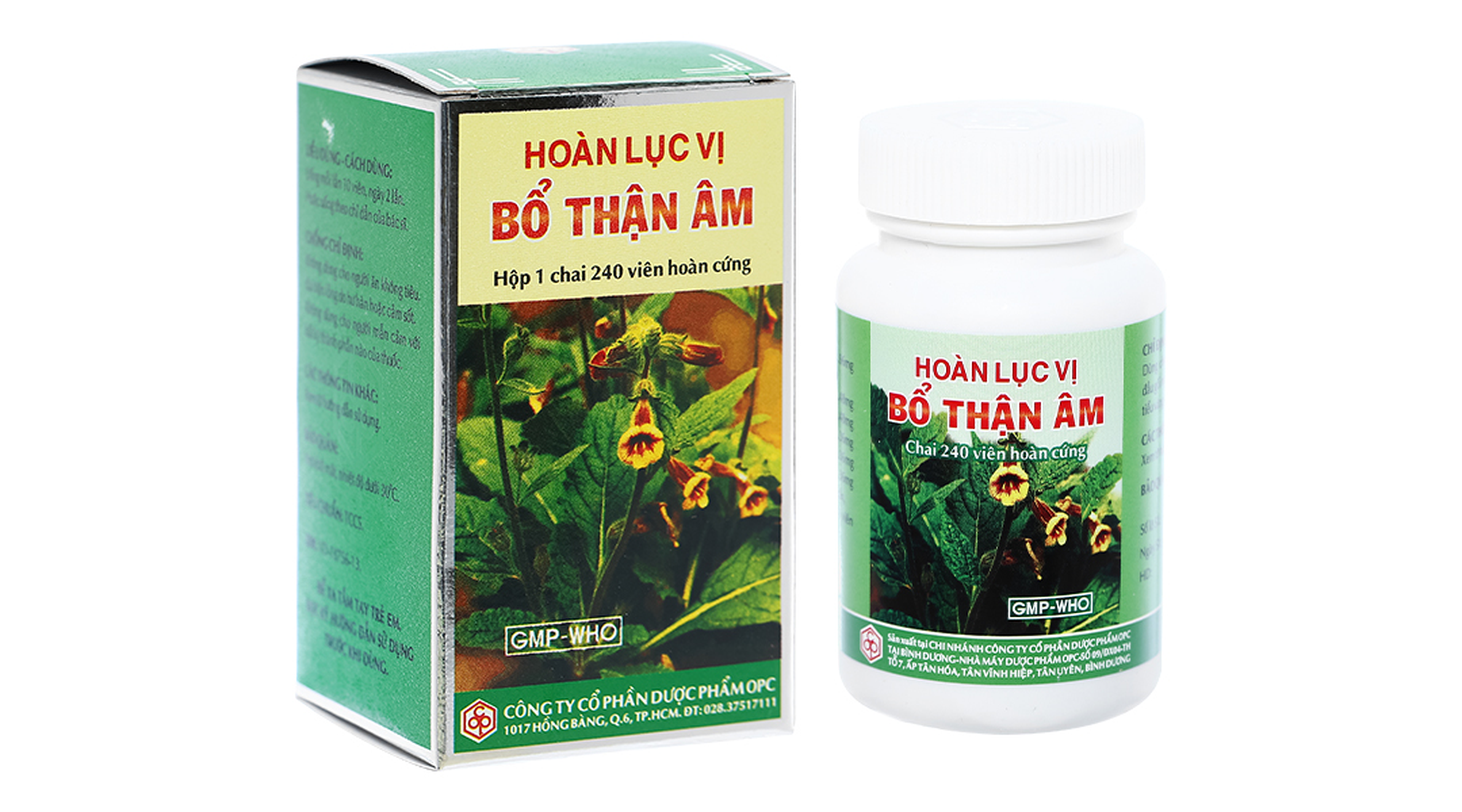 Thuốc Hoàn Lục Vị Bổ Thận Âm giảm mỏi gối, mồ hôi trộm (Hộp 1 lọ 240 viên)