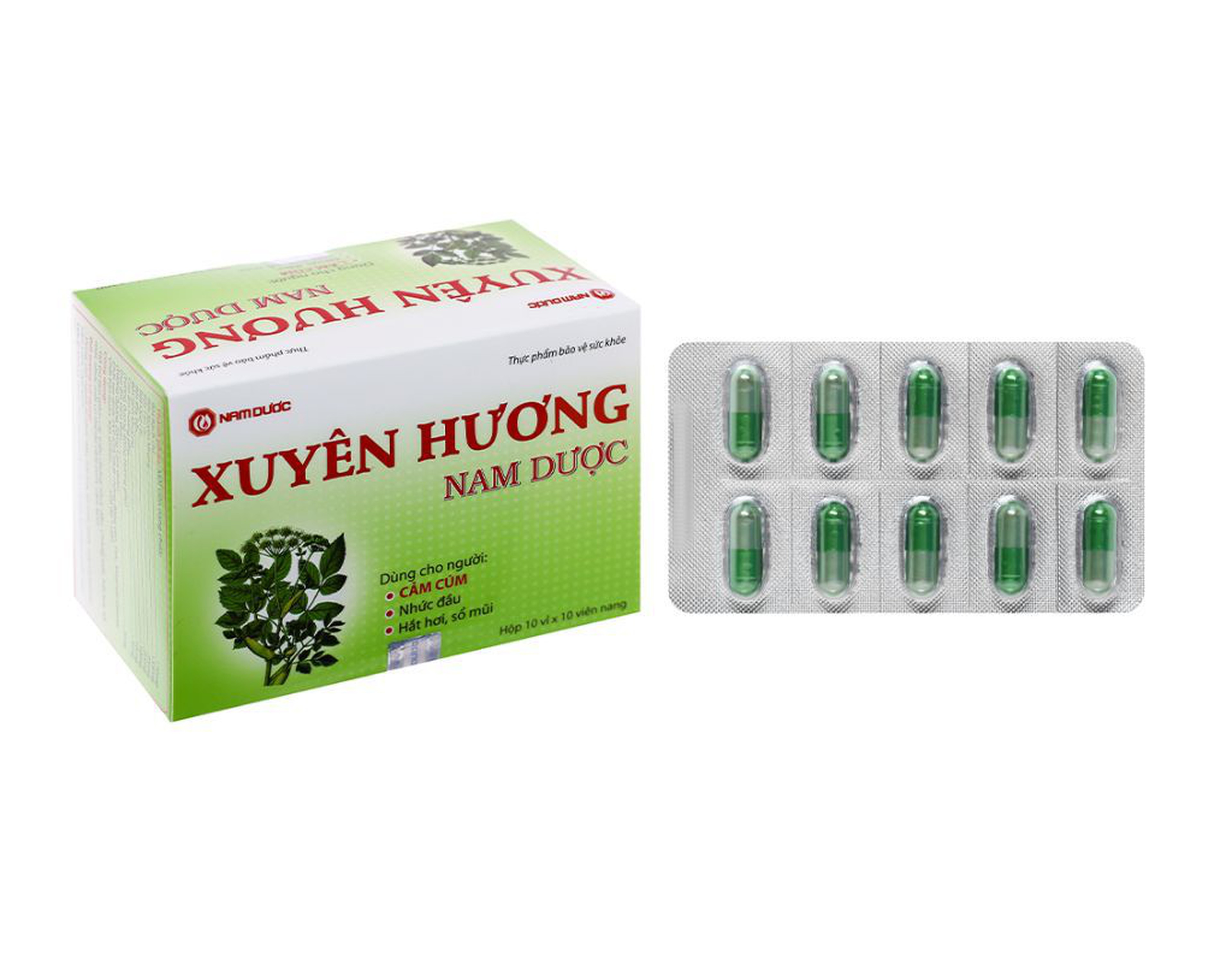 Xuyên Hương Nam Dược hỗ trợ giảm triệu chứng cảm cúm hộp (hộp 100 viên)