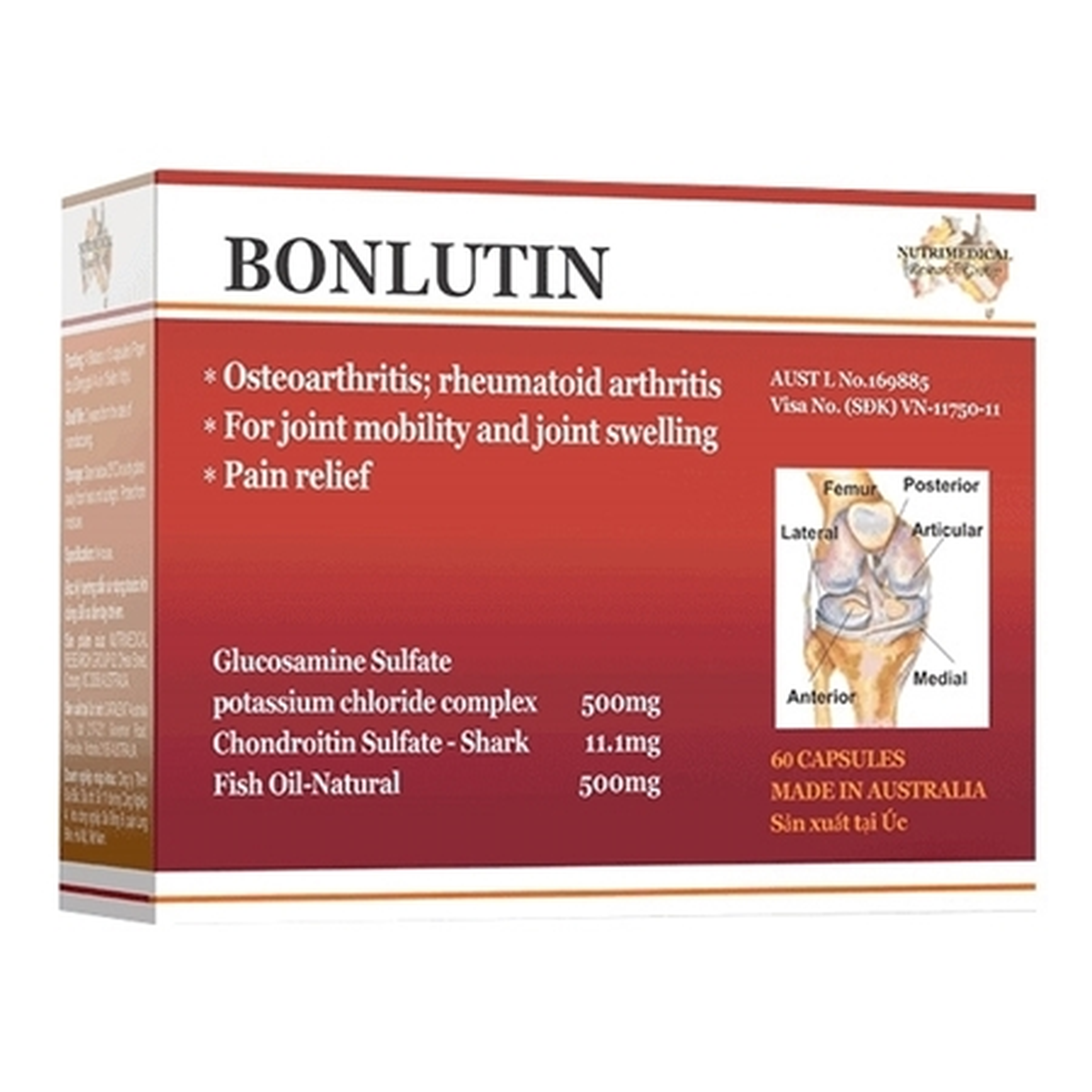 Thuốc Bonlutin giảm thoái hóa khớp gối nhẹ và trung bình (4 vỉ x 15 viên)