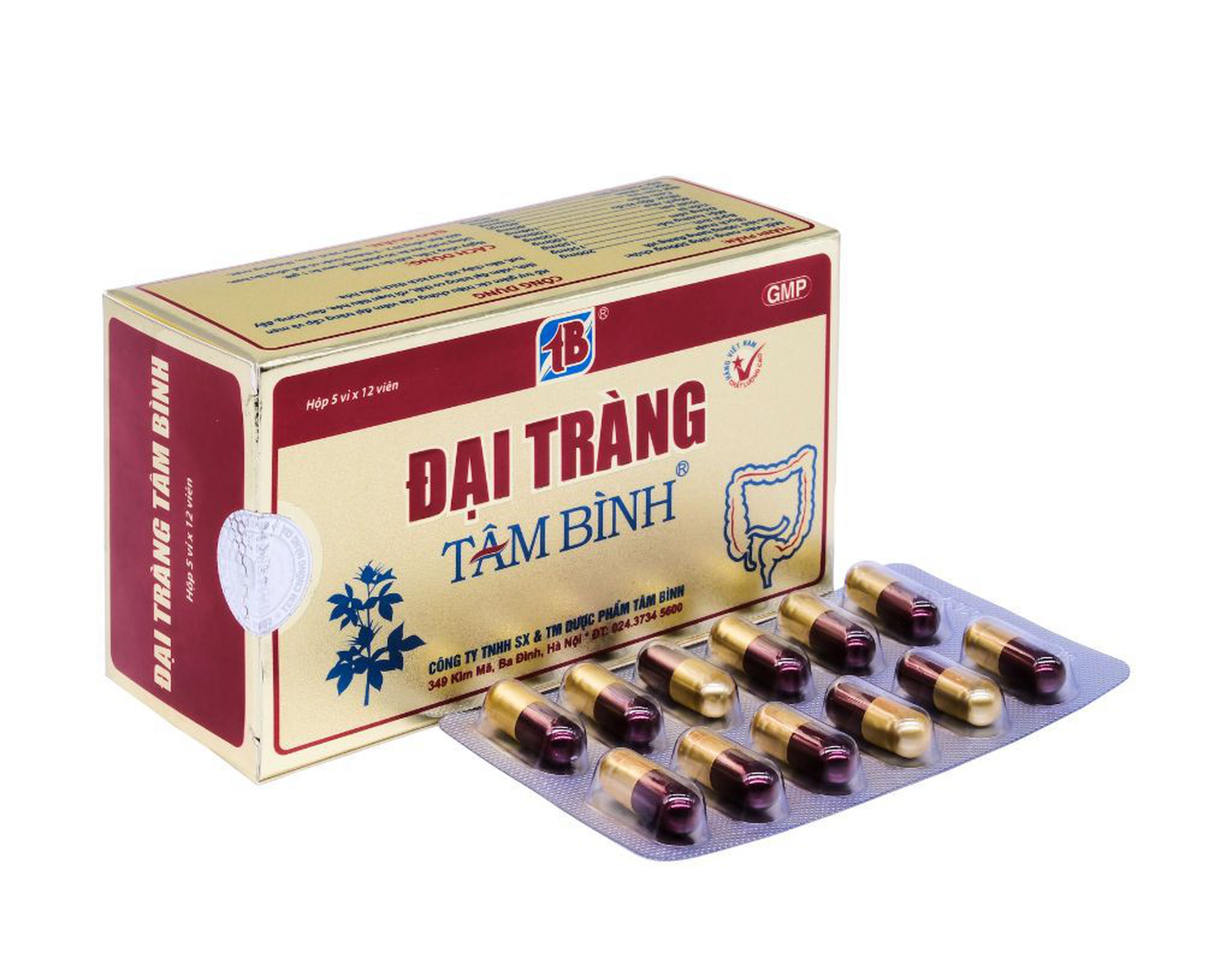 Đại tràng Tâm Bình hỗ trợ điều trị viêm đại tràng (Hộp 5 vỉ x 12 viên)