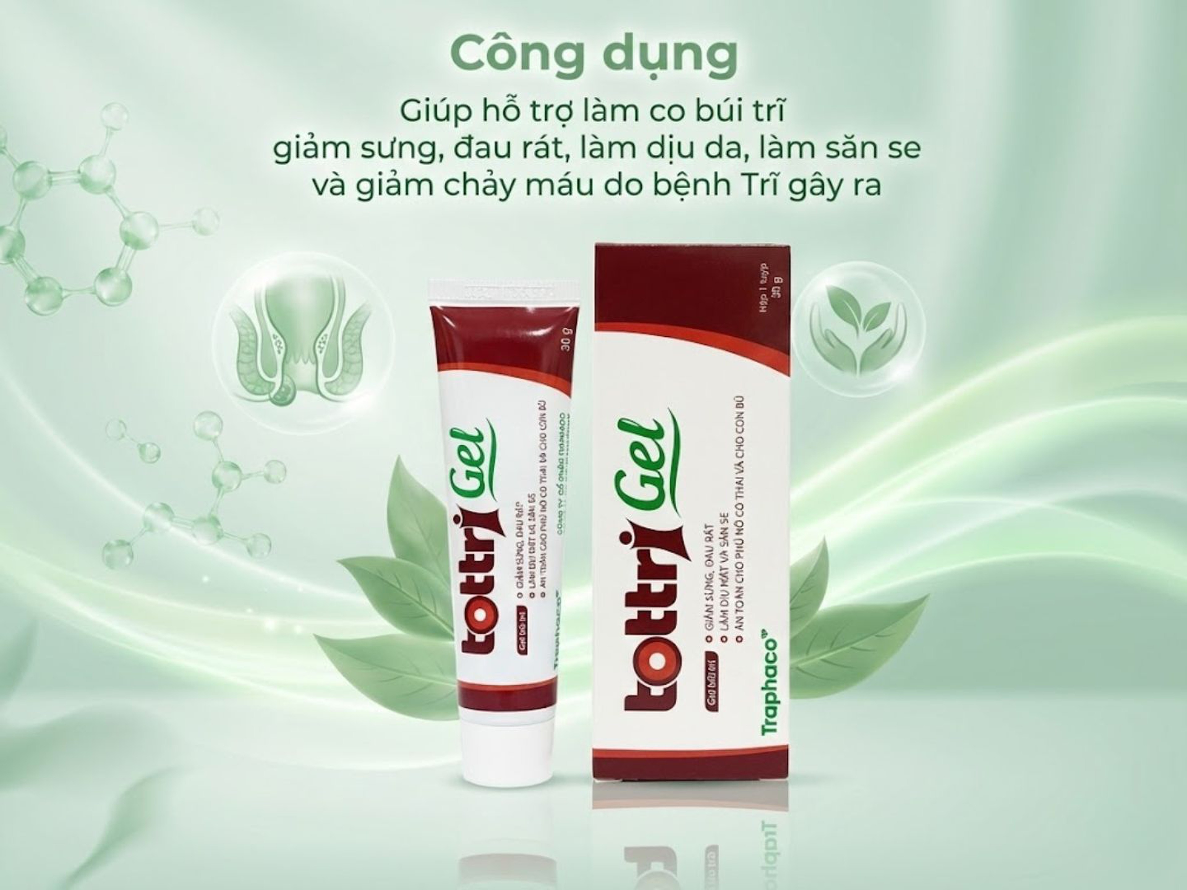 Gel Bôi Trĩ Tottri Gel Traphaco giúp giảm sưng, đau rát trong bệnh trĩ (Tuýp 30g)