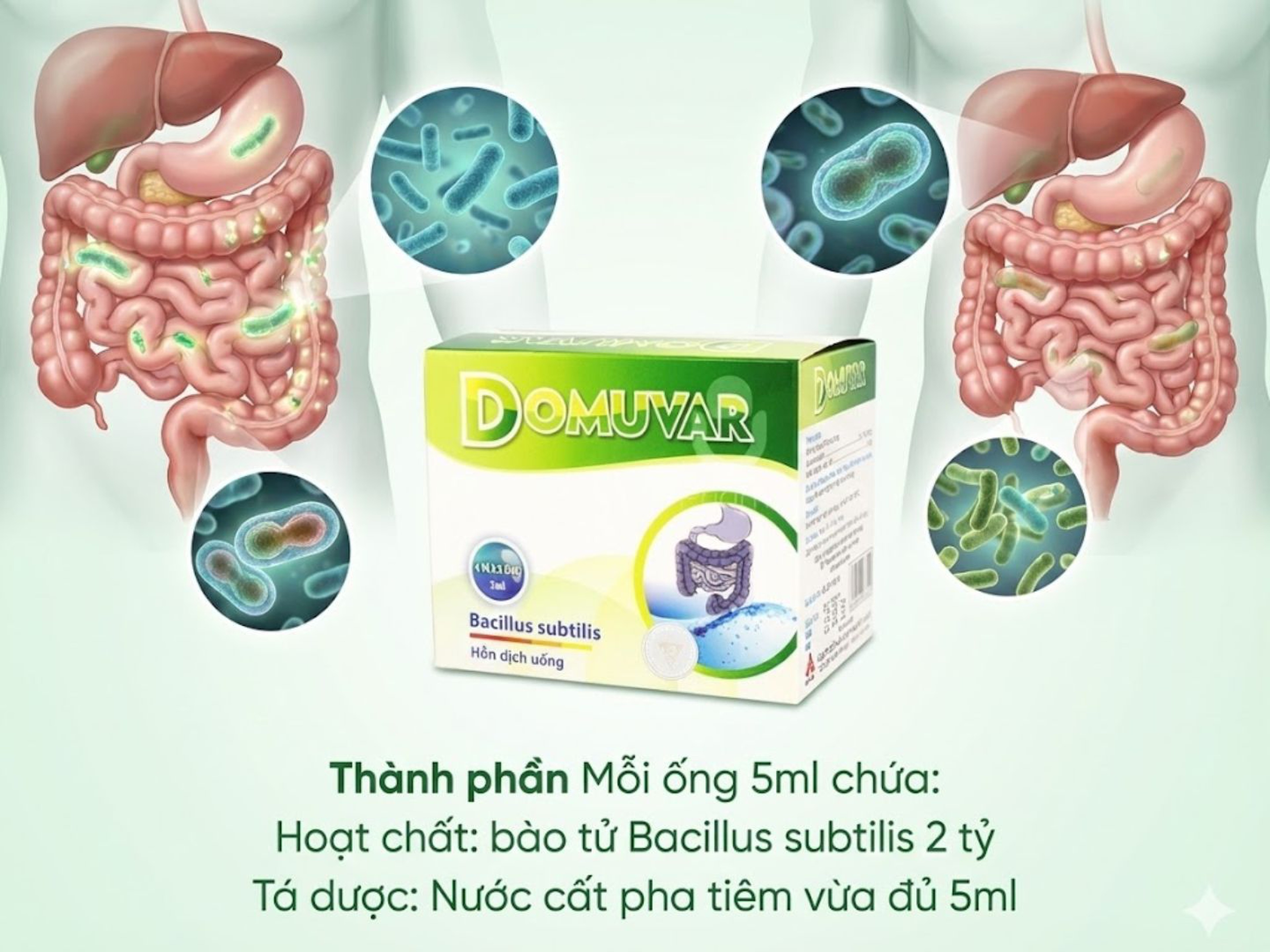 Men vi sinh Domuvar chứa 2 tỷ lợi khuẩn Bacillus subtilis điều trị rối loạn tiêu hóa (Hộp 4 vỉ x 5 ống)
