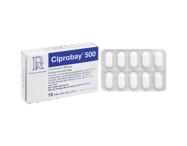 Thuốc Ciprobay 500mg điều trị nhiễm khuẩn (Hộp 1 vỉ x 10 viên)