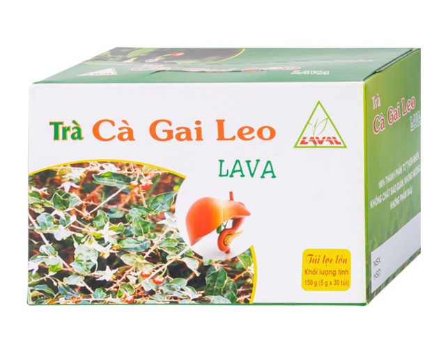 Trà túi lọc Cà Gai Leo Lava hỗ trợ bổ gan, giải độc gan, hạ men gan (Hộp 30 gói x 5g)