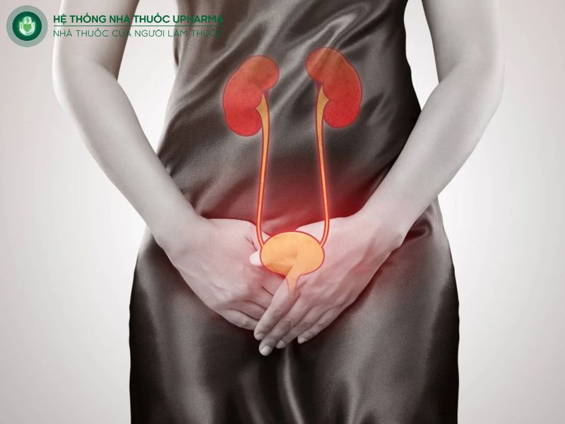 Bệnh lý đường tiết niệu kéo dài