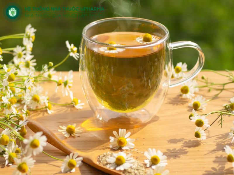 cách trị ho tại nhà cho người lớn bằng trà hoa cúc