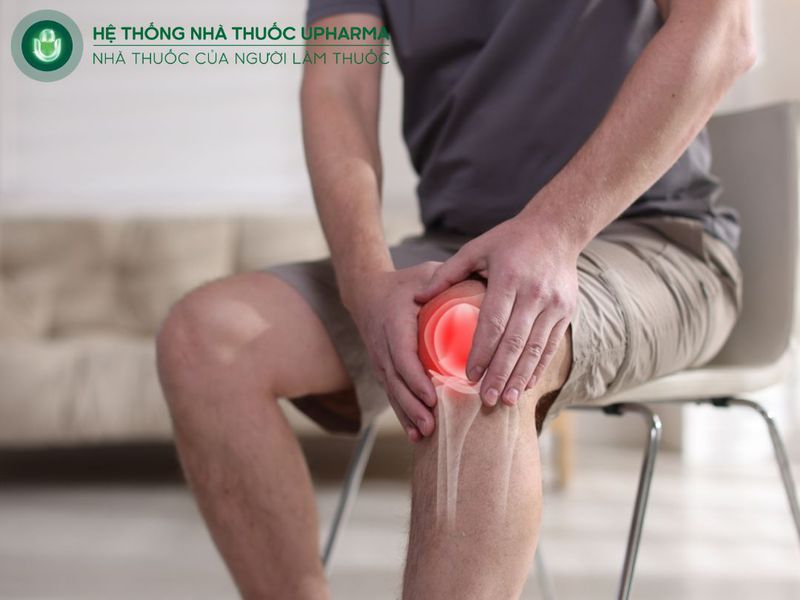 tác dụng cây thầu dầu chữa xương khớp