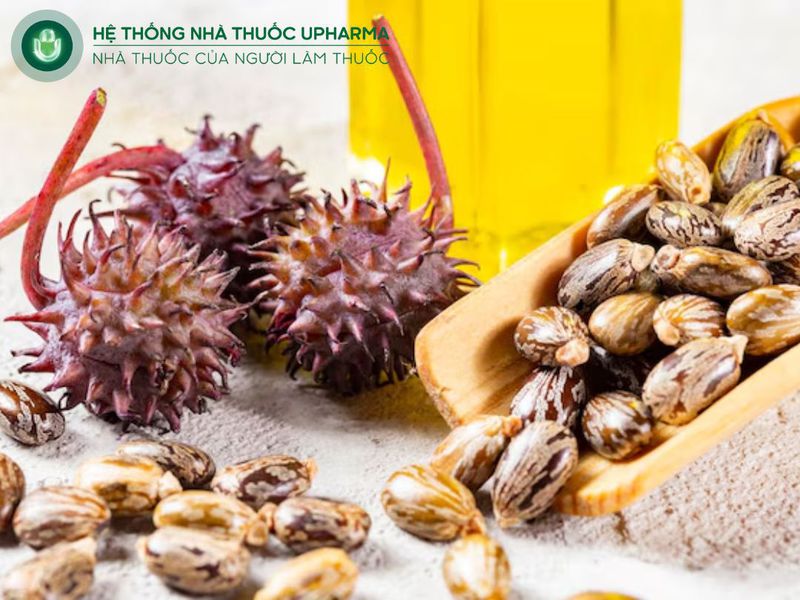 lưu ý sử dụng cây thầu dầu chữa xương khớp