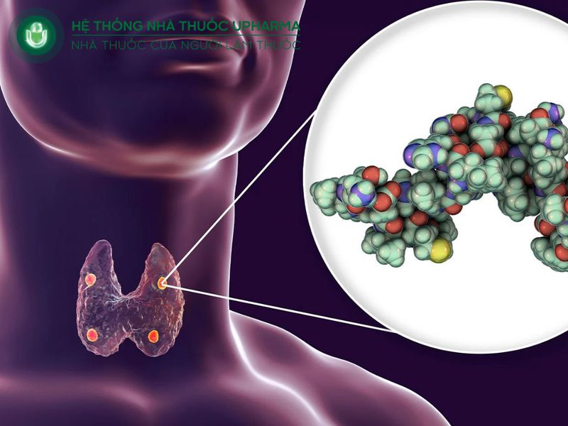 suy tuyến giáp gây ra hạ canxi máu