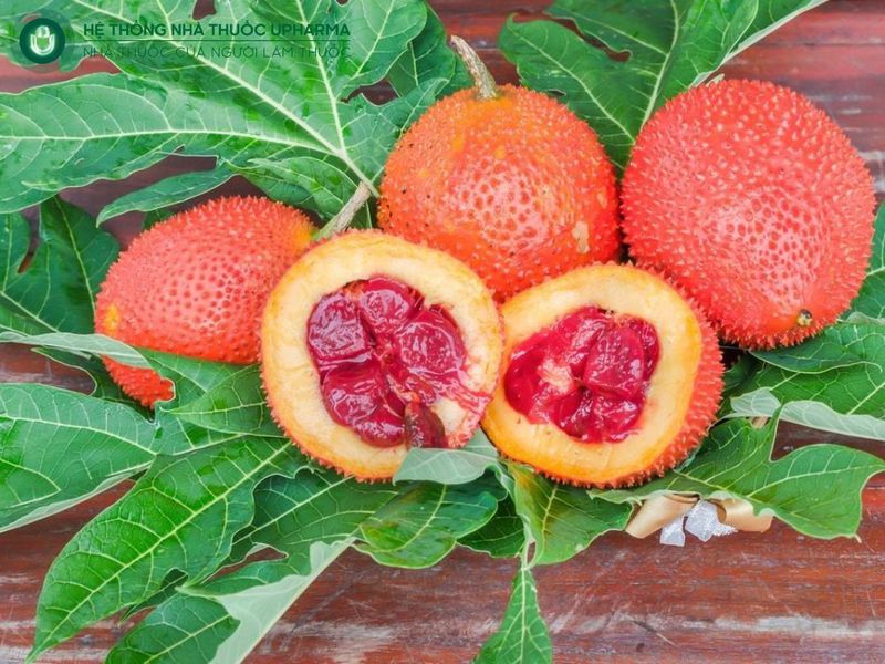 hạt gấc ngâm rượu chữa xương khớp