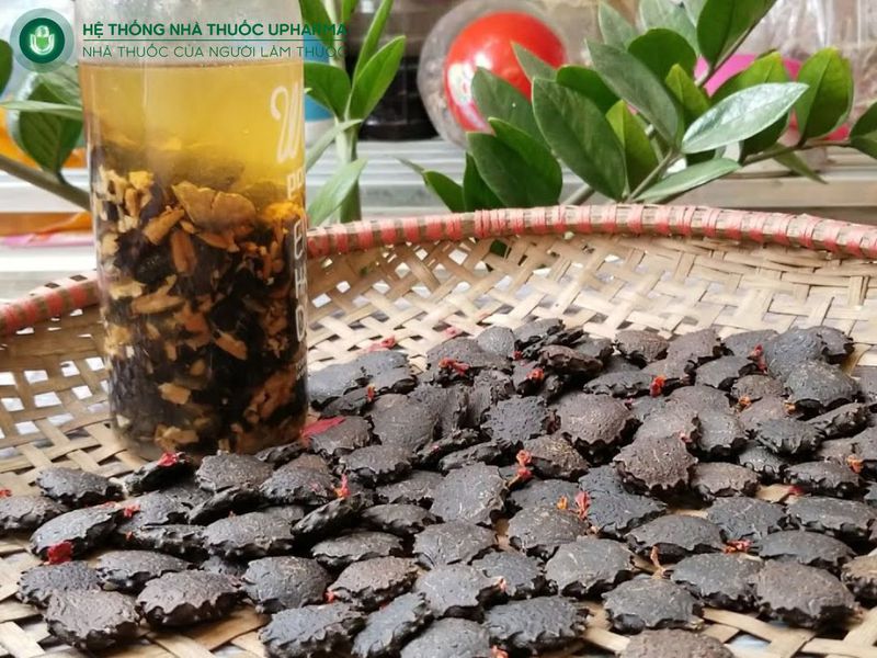 cách làm hạt gấc ngâm rượu chữa xương khớp