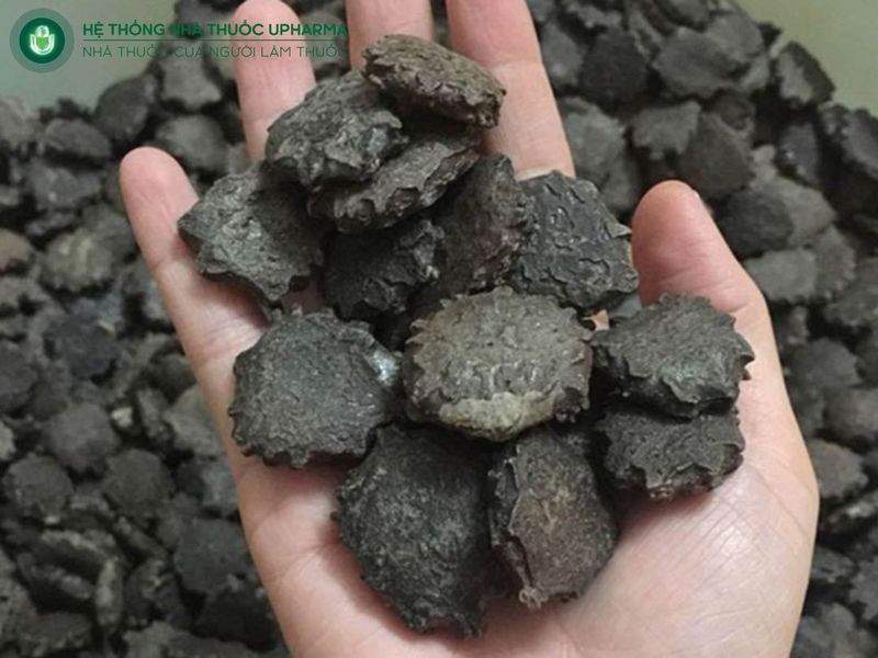 đối tượng không nên dùng hạt gấc ngâm rượu