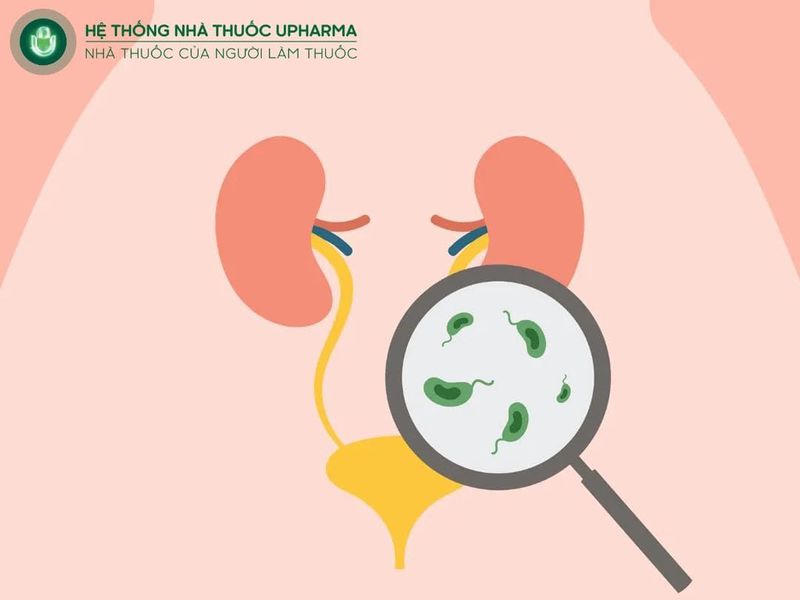 nhiễm trùng tiết niệu tái phát