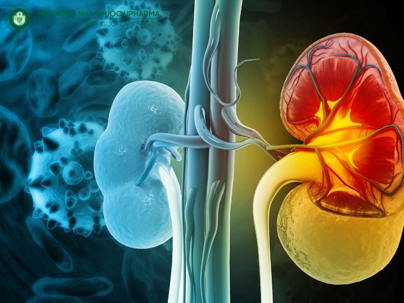 lạm dụng thuốc gây độc thận