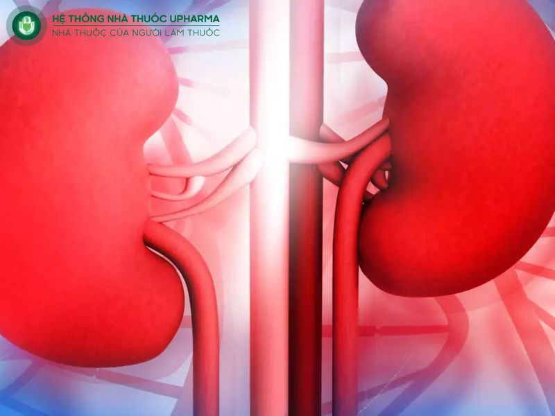 suy thận cấp độ 2 có nguy hiểm không